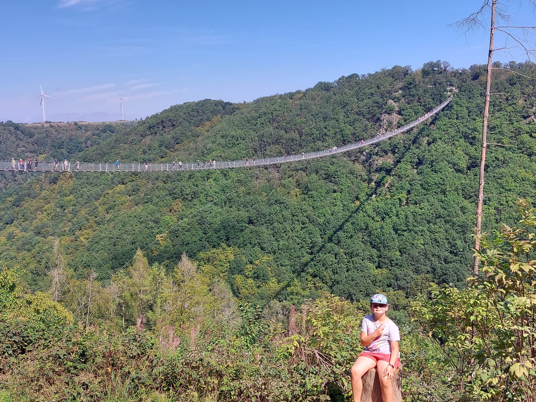 Vergrößerbares Bild