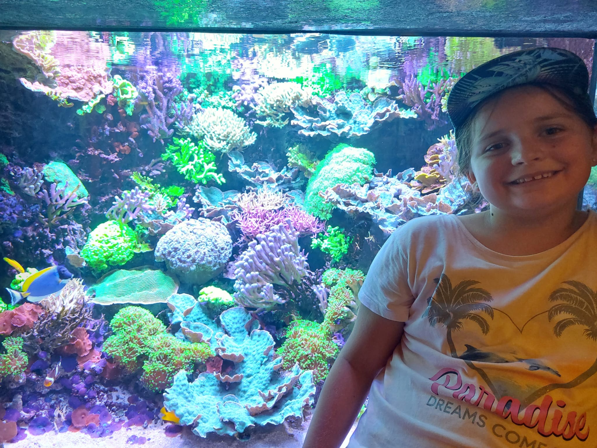 Vergrößerbares Bild