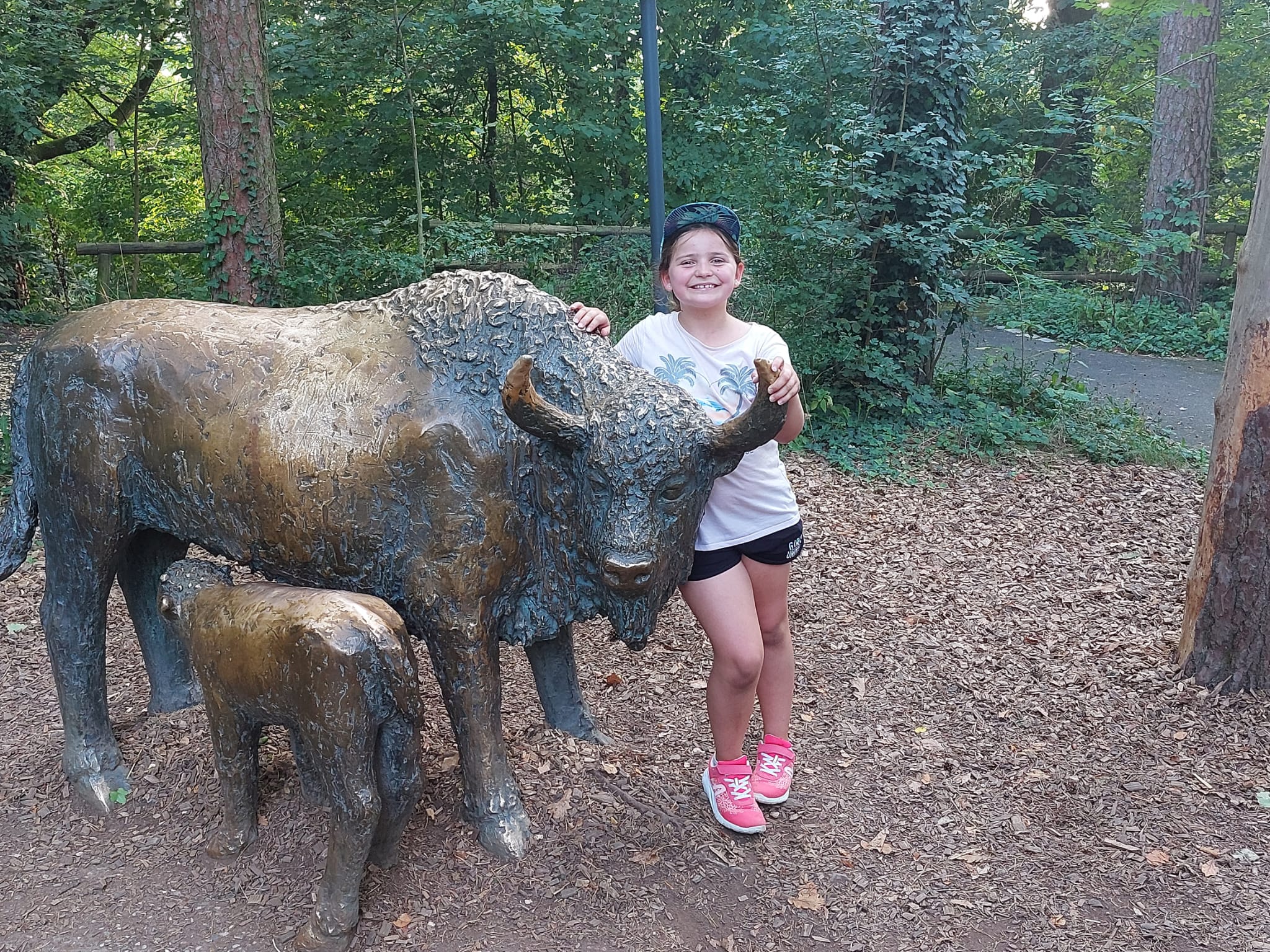 Vergrößerbares Bild