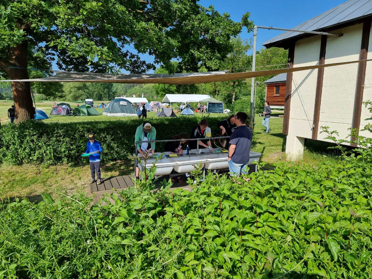 Vergrößerbares Bild