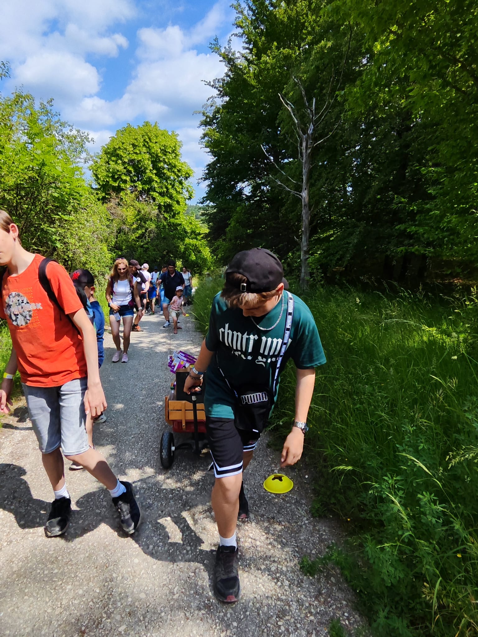 Vergrößerbares Bild