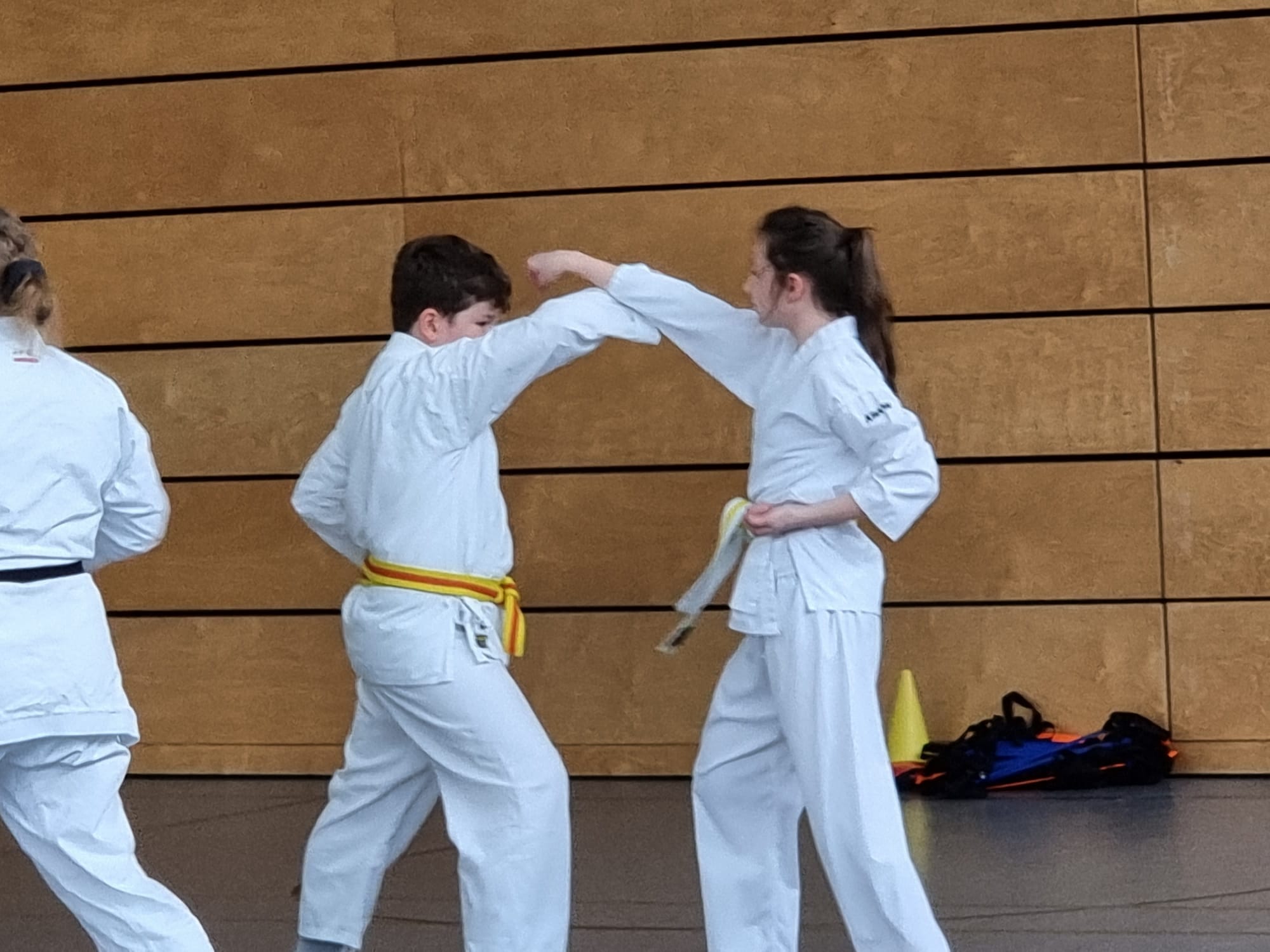 Vergrößerbares Bild