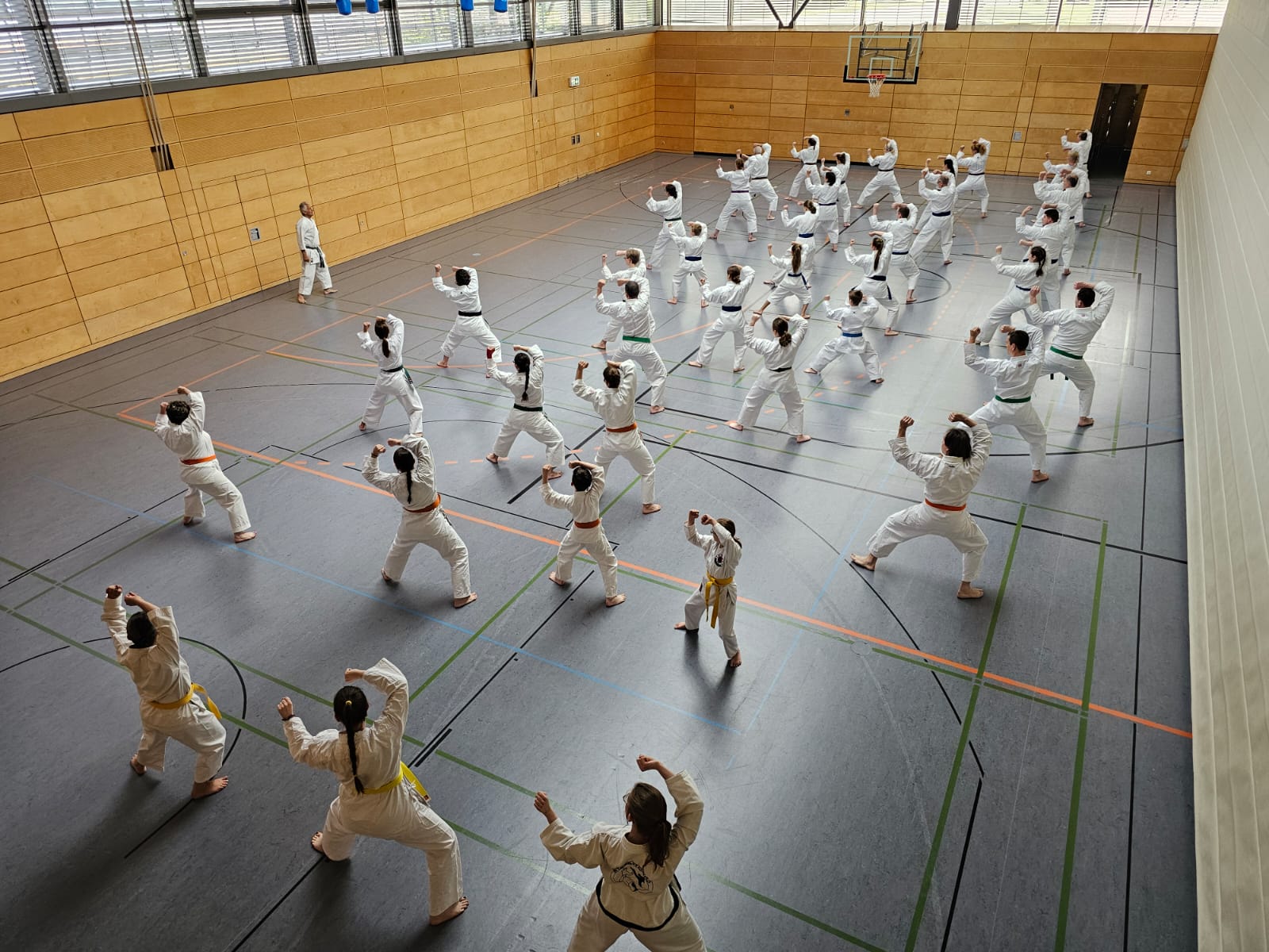 Vergrößerbares Bild