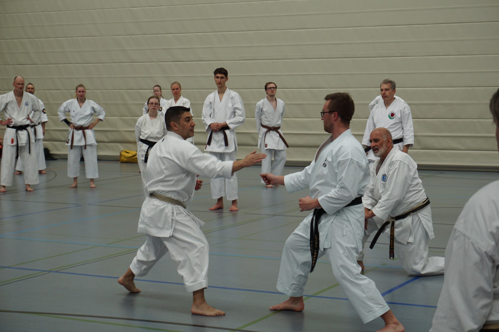 Vergrößerbares Bild