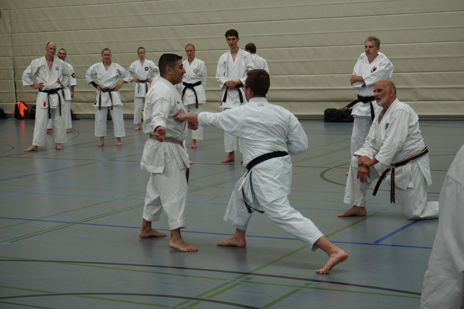 Vergrößerbares Bild