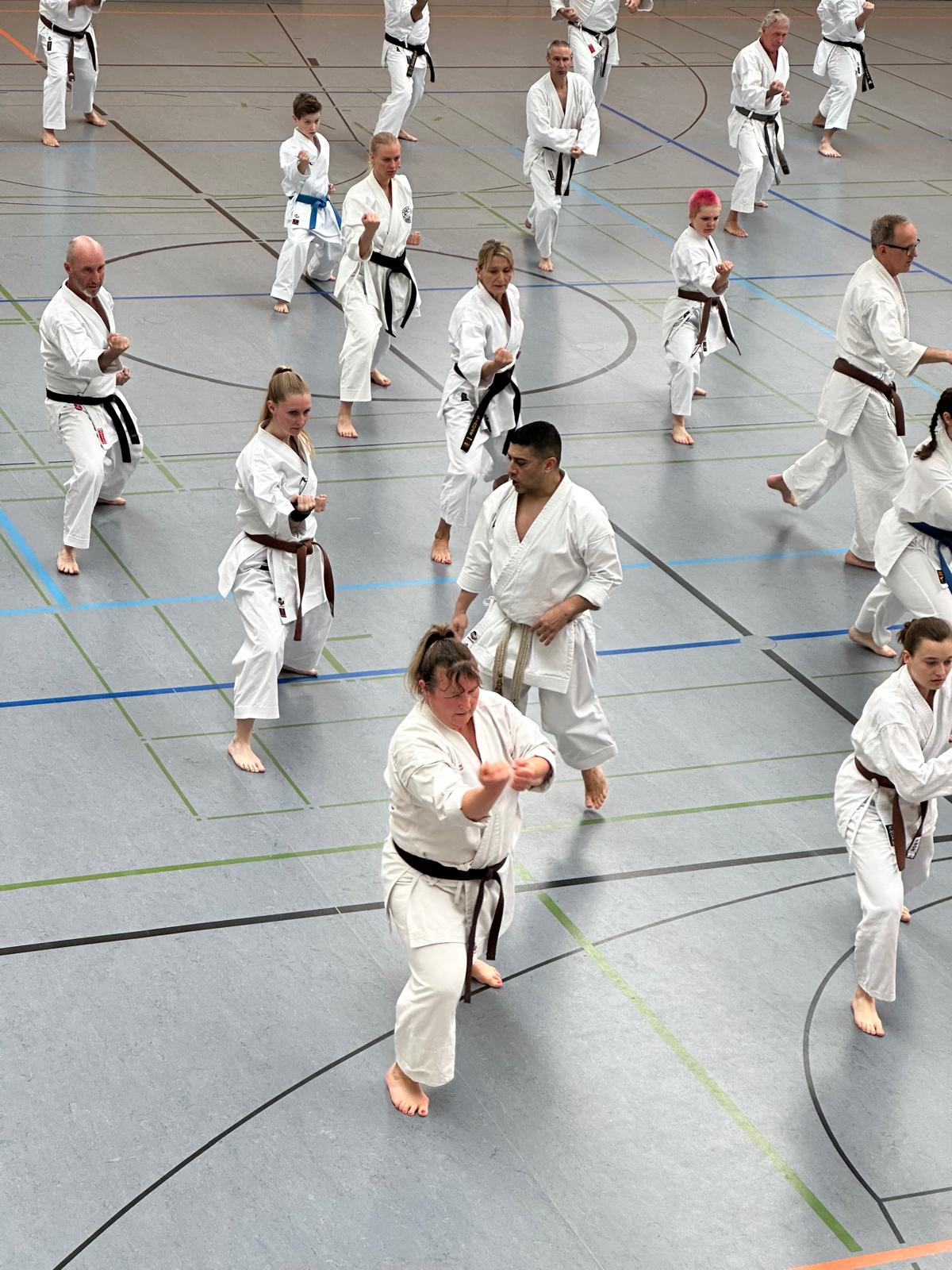 Vergrößerbares Bild