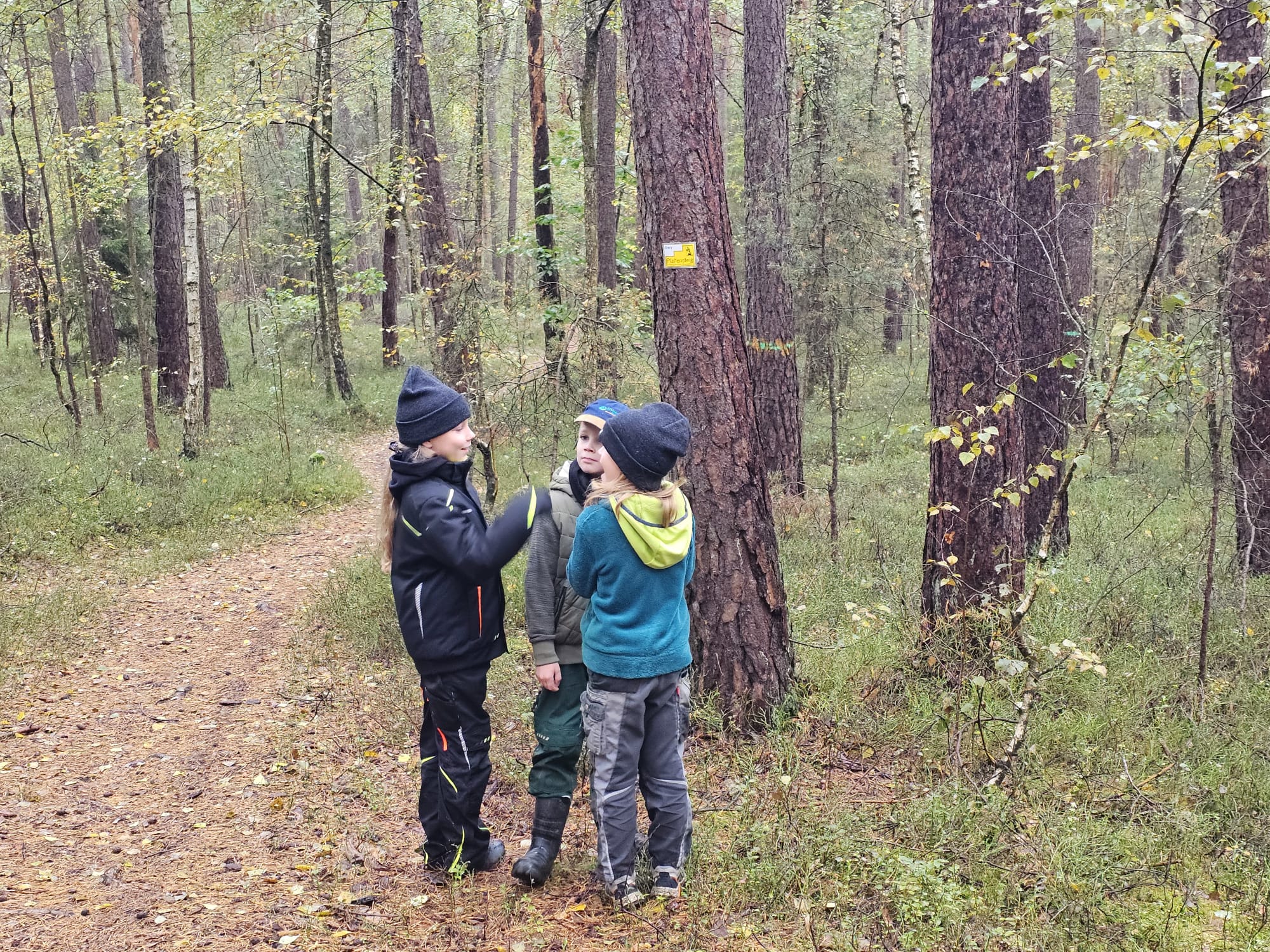 Vergrößerbares Bild