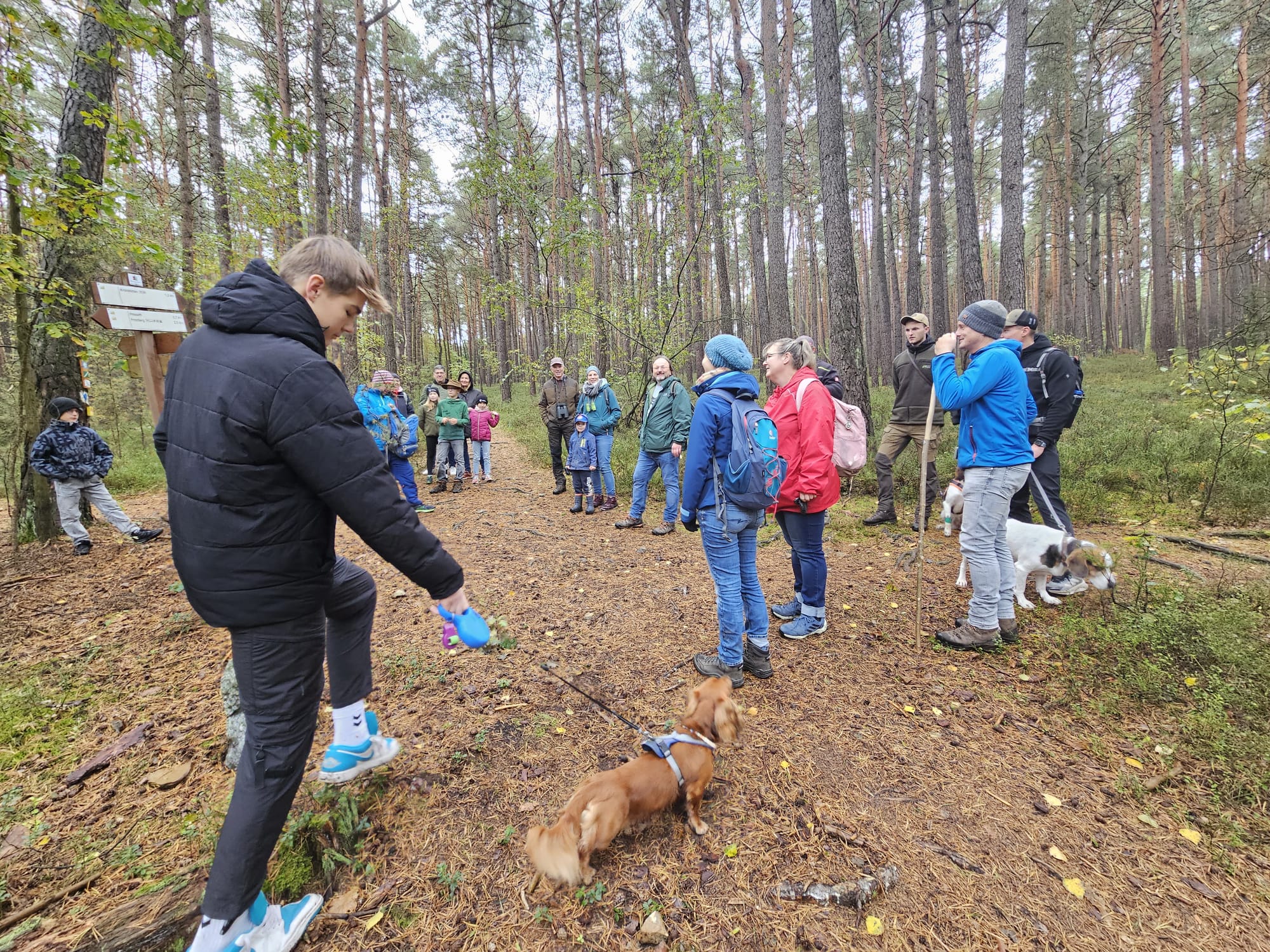 Vergrößerbares Bild