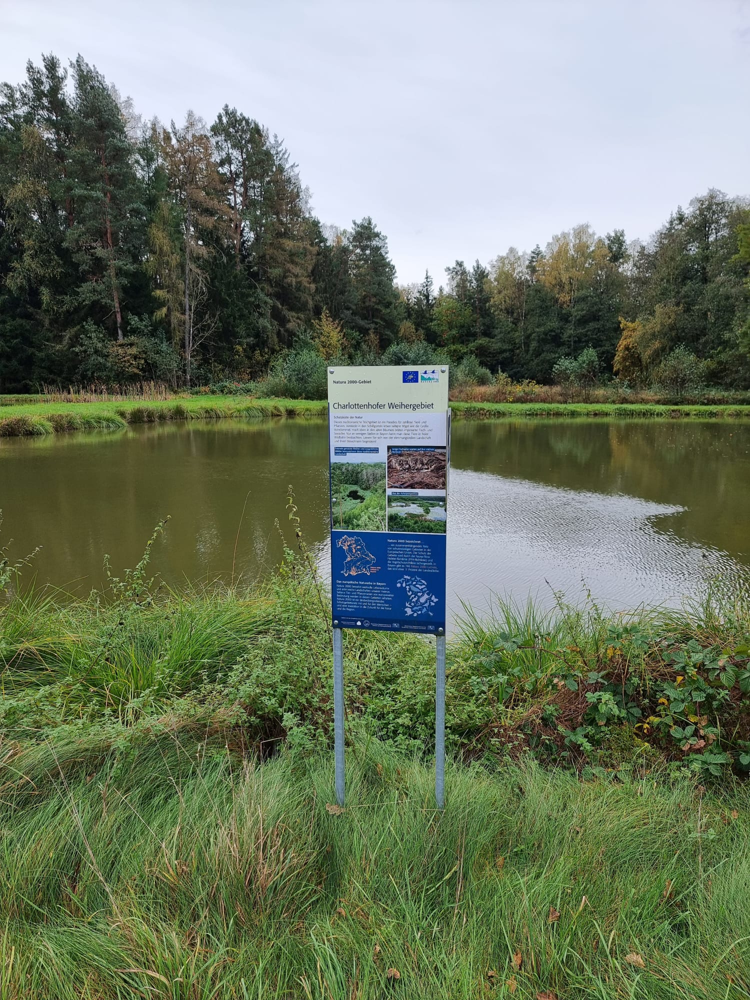 Vergrößerbares Bild