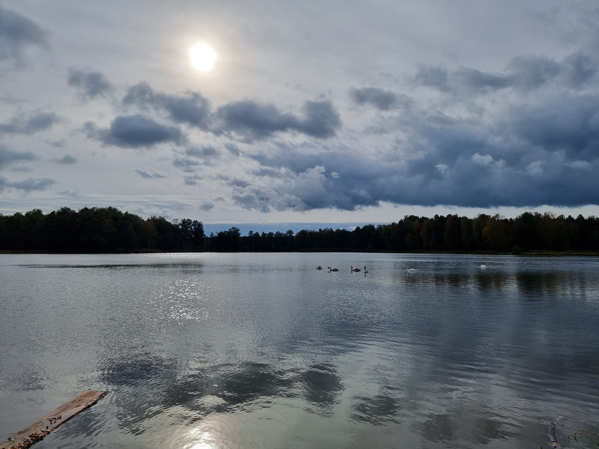 Vergrößerbares Bild