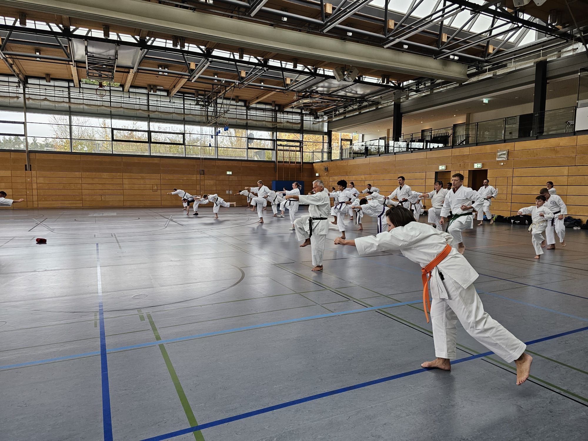 Vergrößerbares Bild