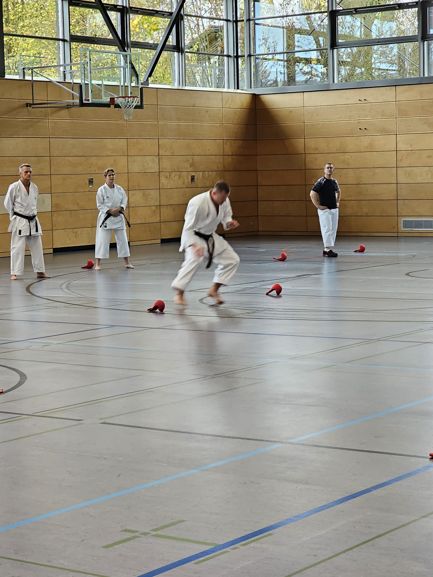 Vergrößerbares Bild