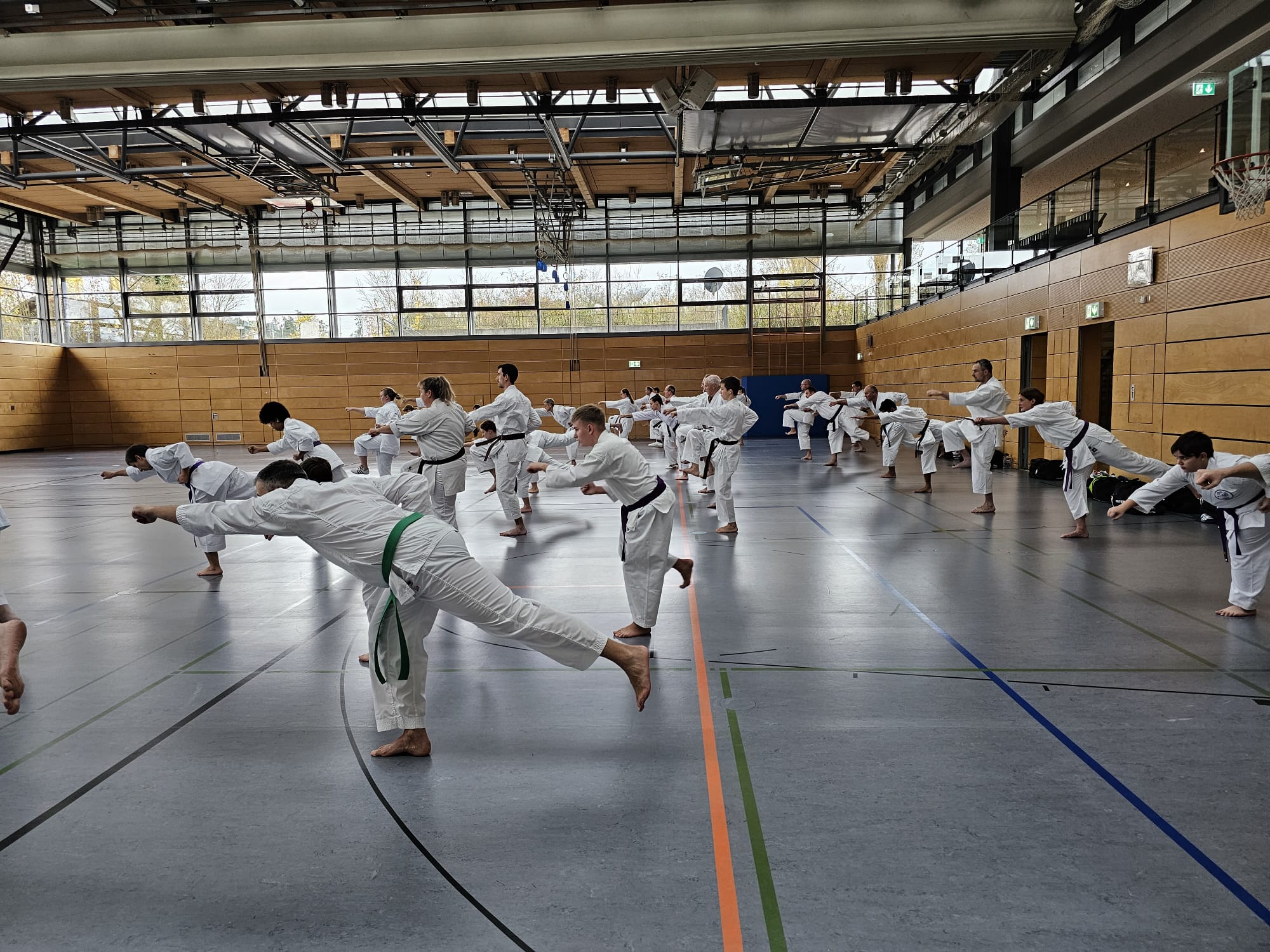 Vergrößerbares Bild