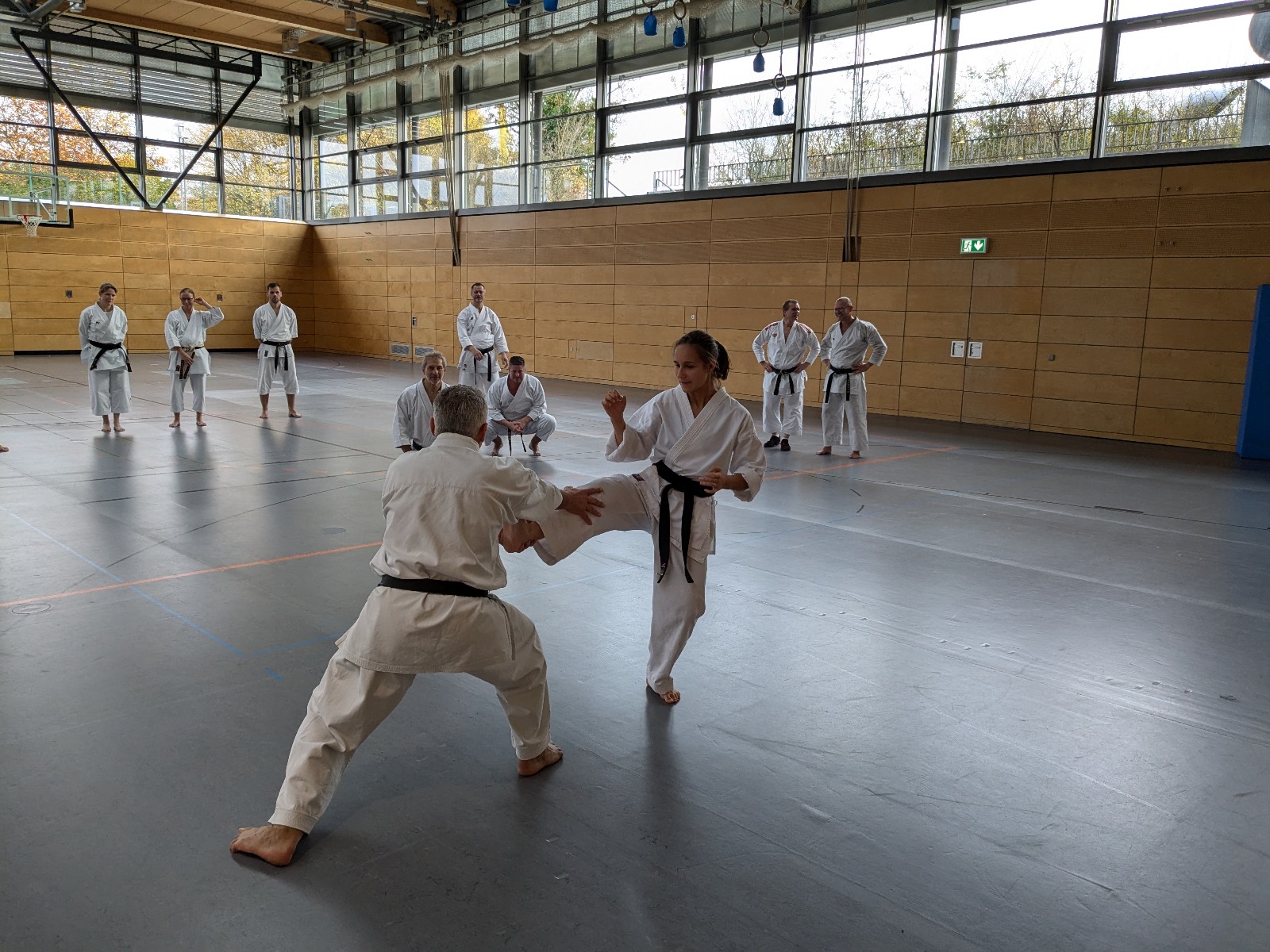 Vergrößerbares Bild