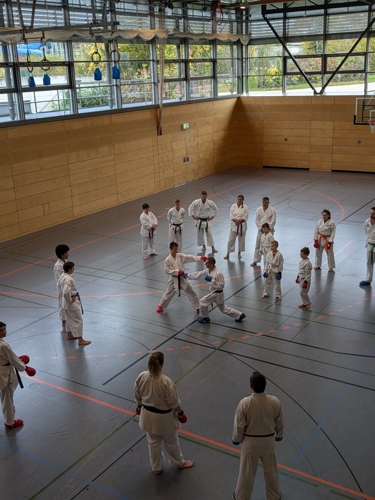 Vergrößerbares Bild