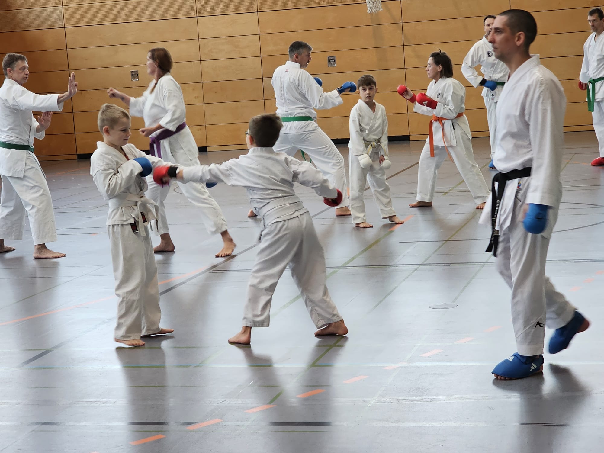 Vergrößerbares Bild