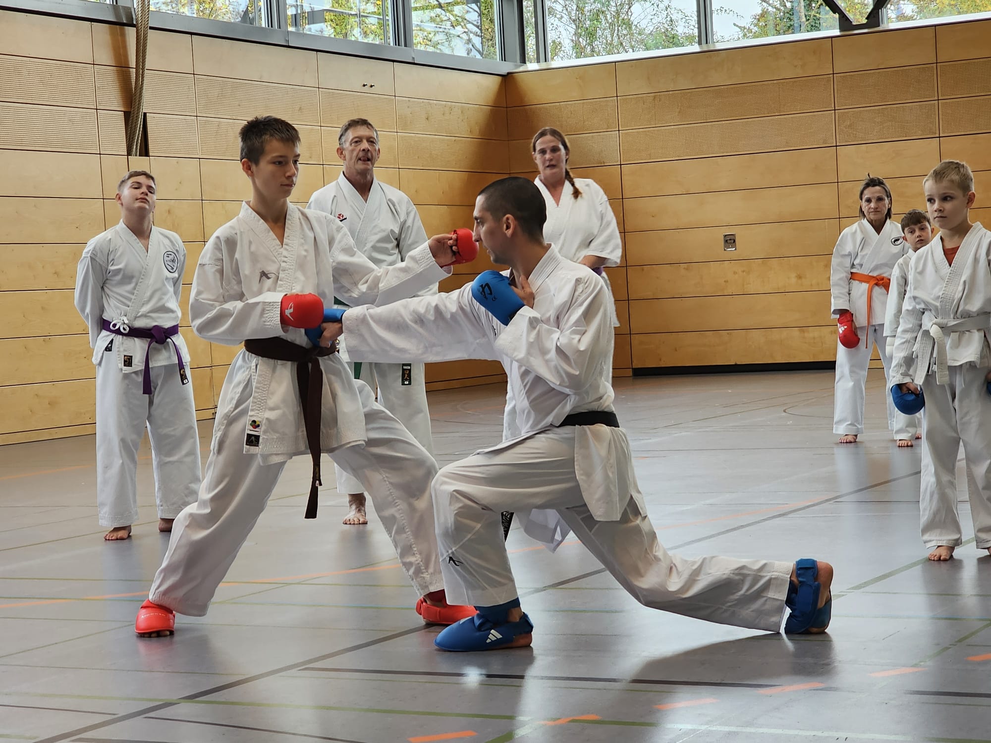 Vergrößerbares Bild