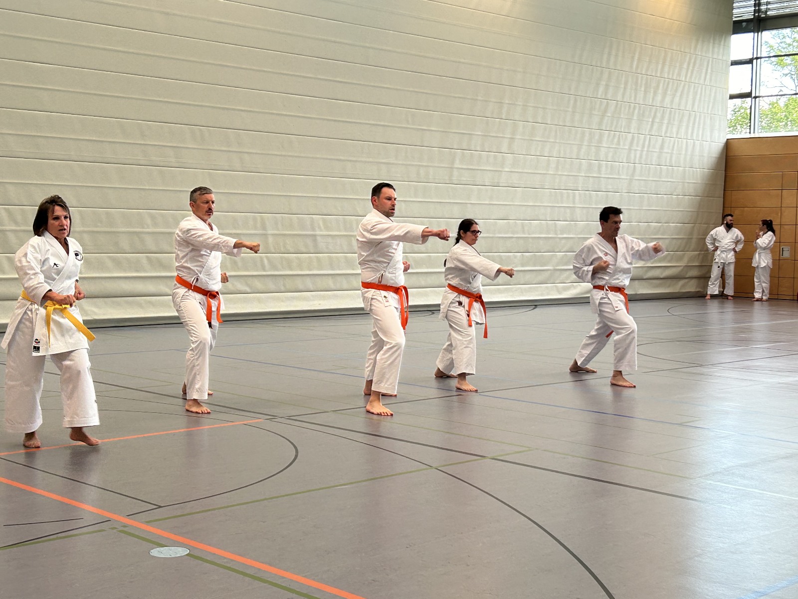 Vergrößerbares Bild