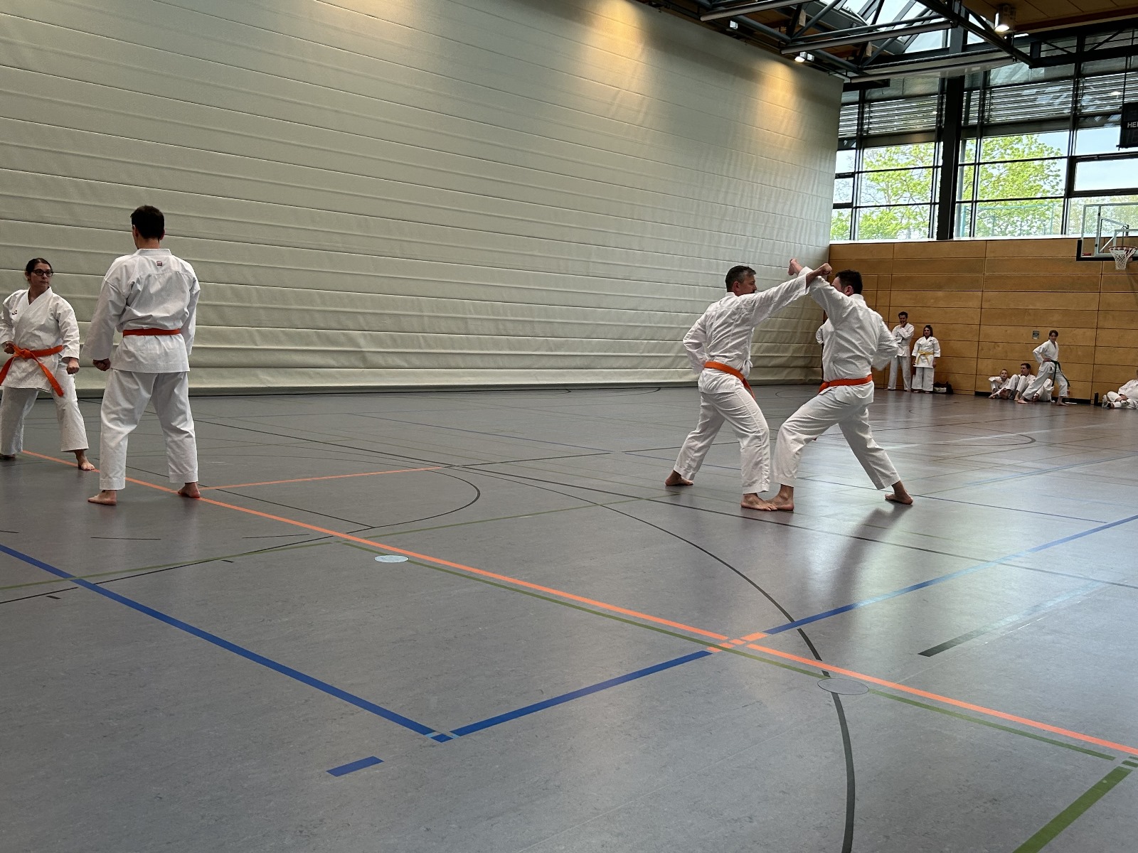 Vergrößerbares Bild