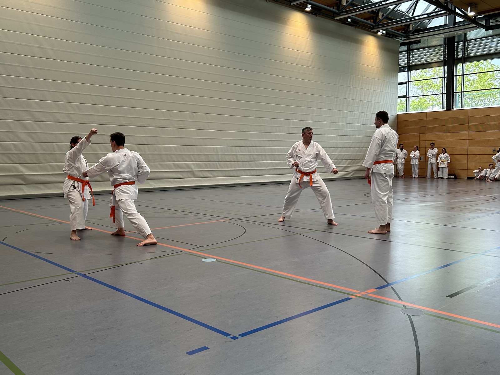 Vergrößerbares Bild