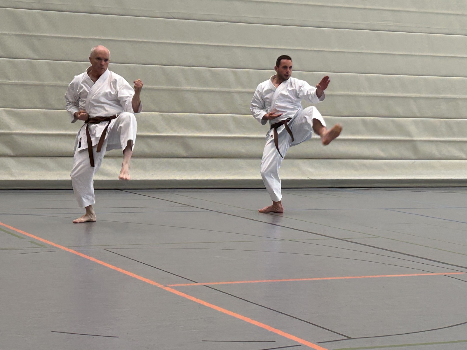 Vergrößerbares Bild