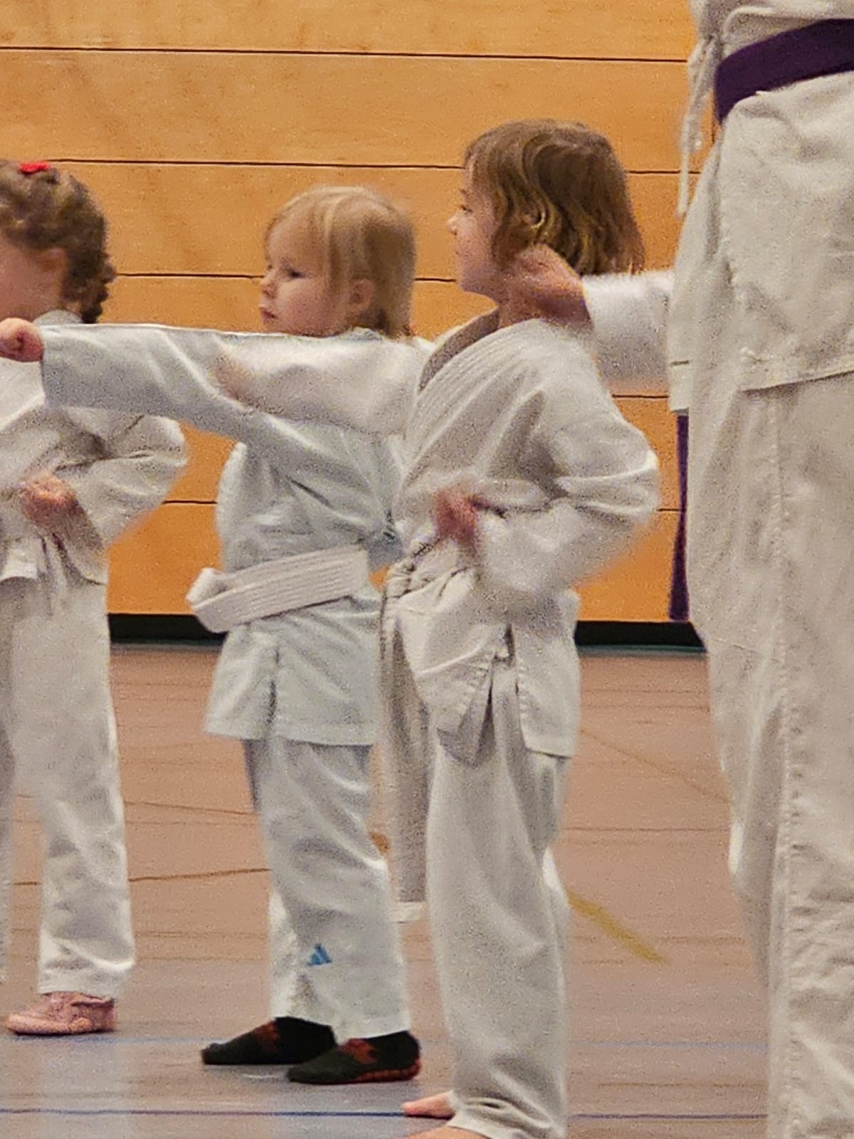 Vergrößerbares Bild