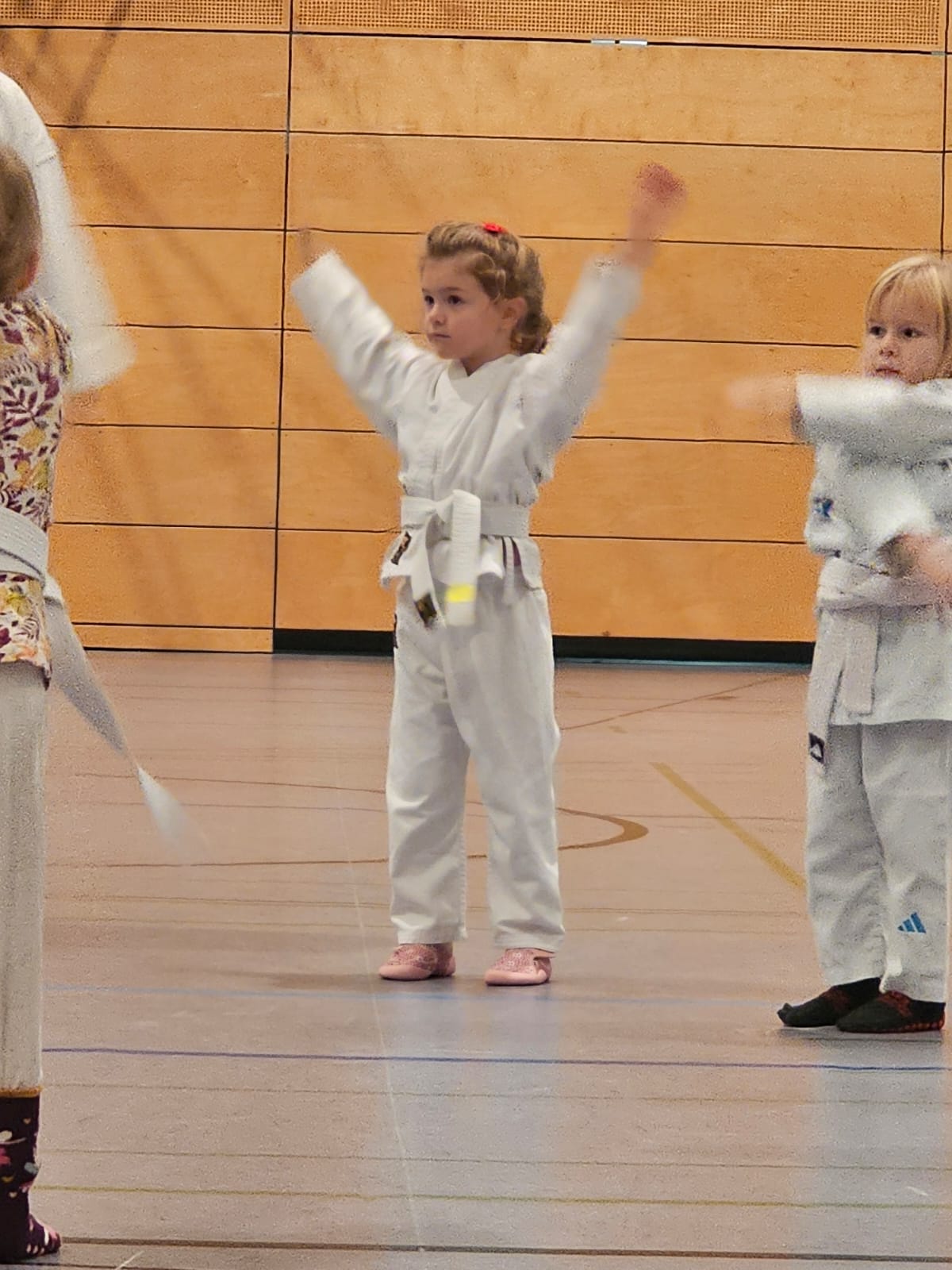 Vergrößerbares Bild