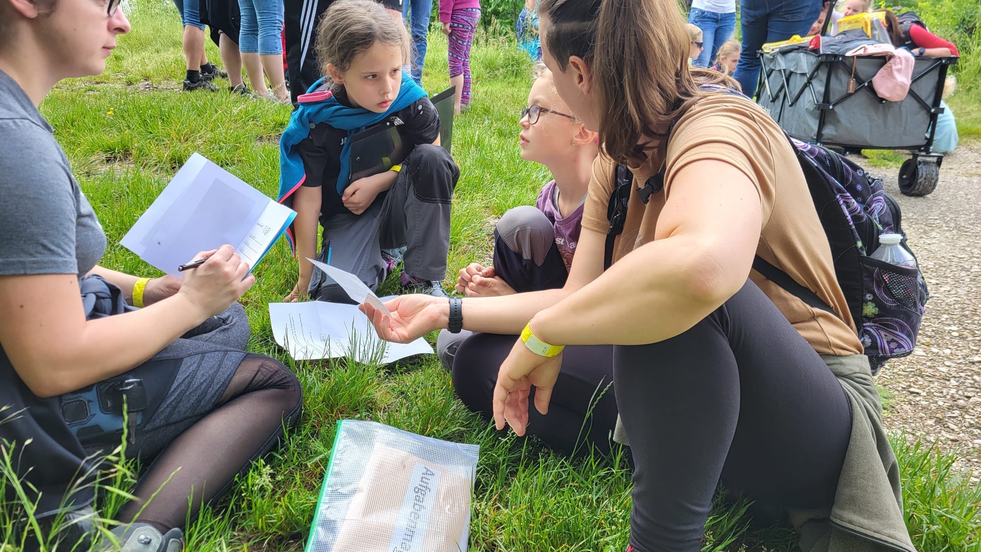 Vergrößerbares Bild