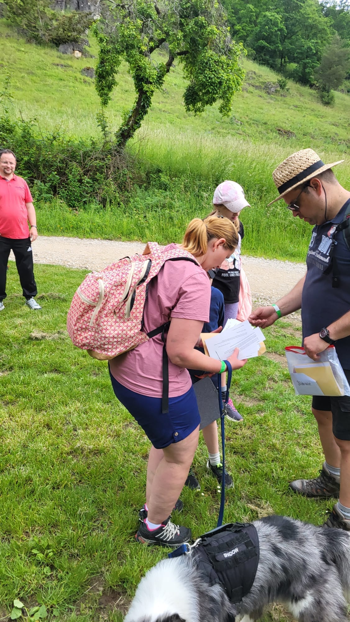 Vergrößerbares Bild