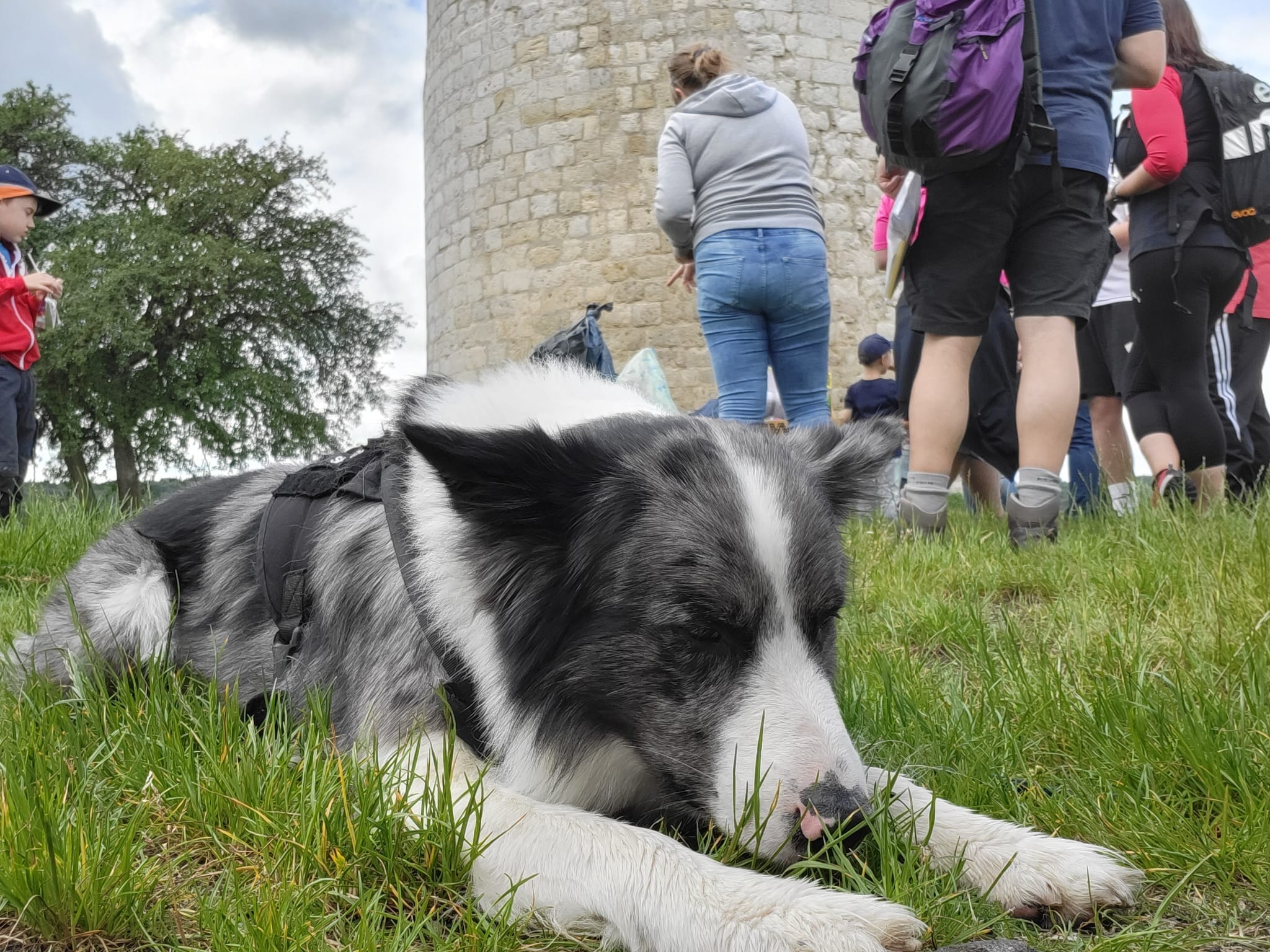 Vergrößerbares Bild