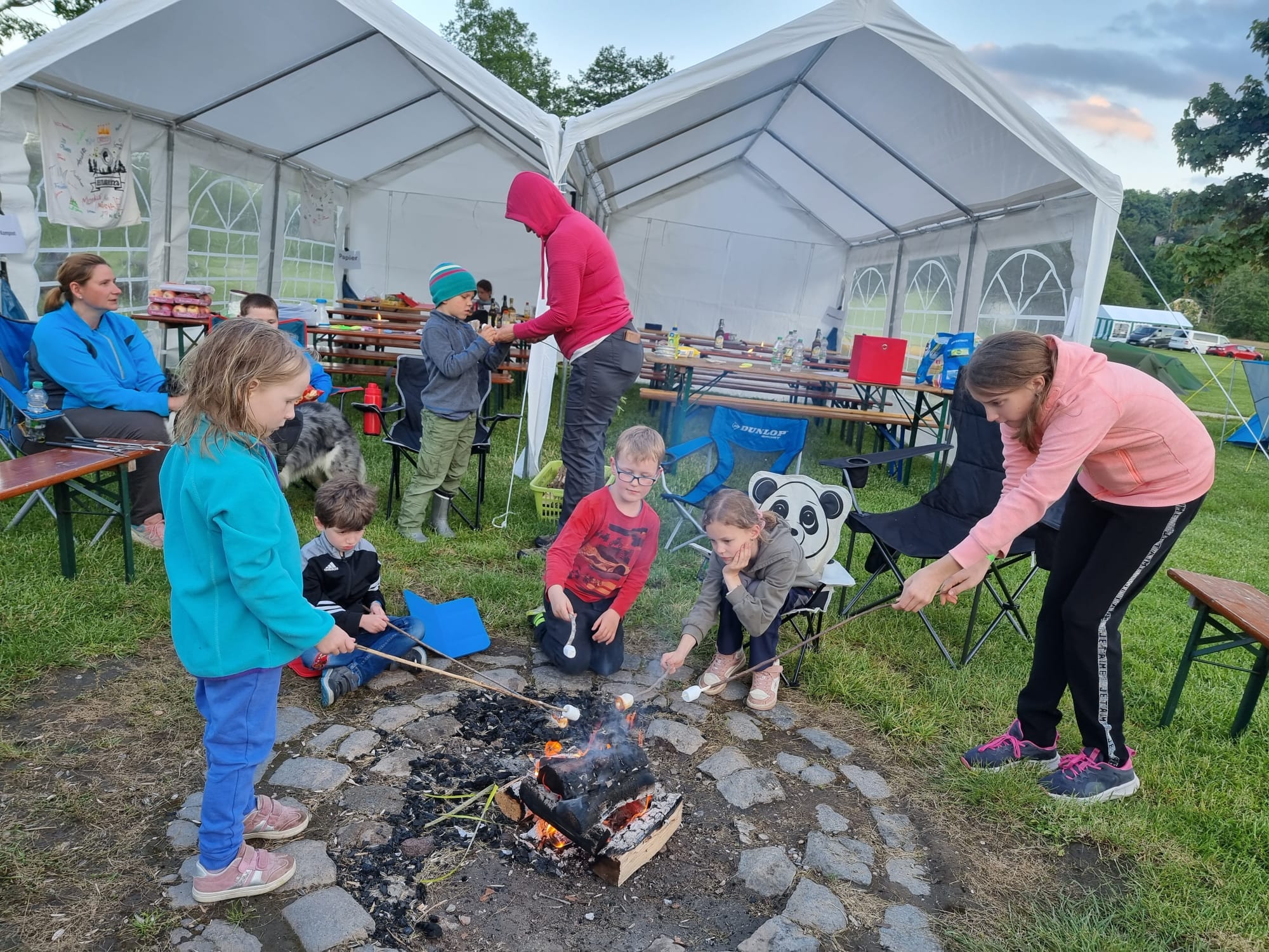 Vergrößerbares Bild