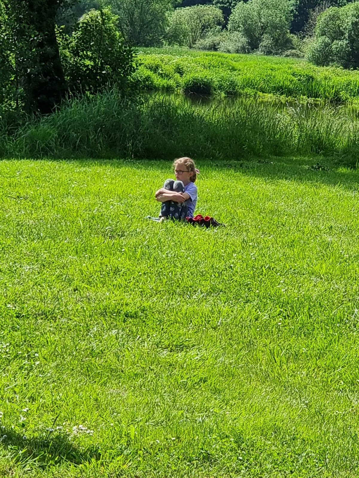 Vergrößerbares Bild