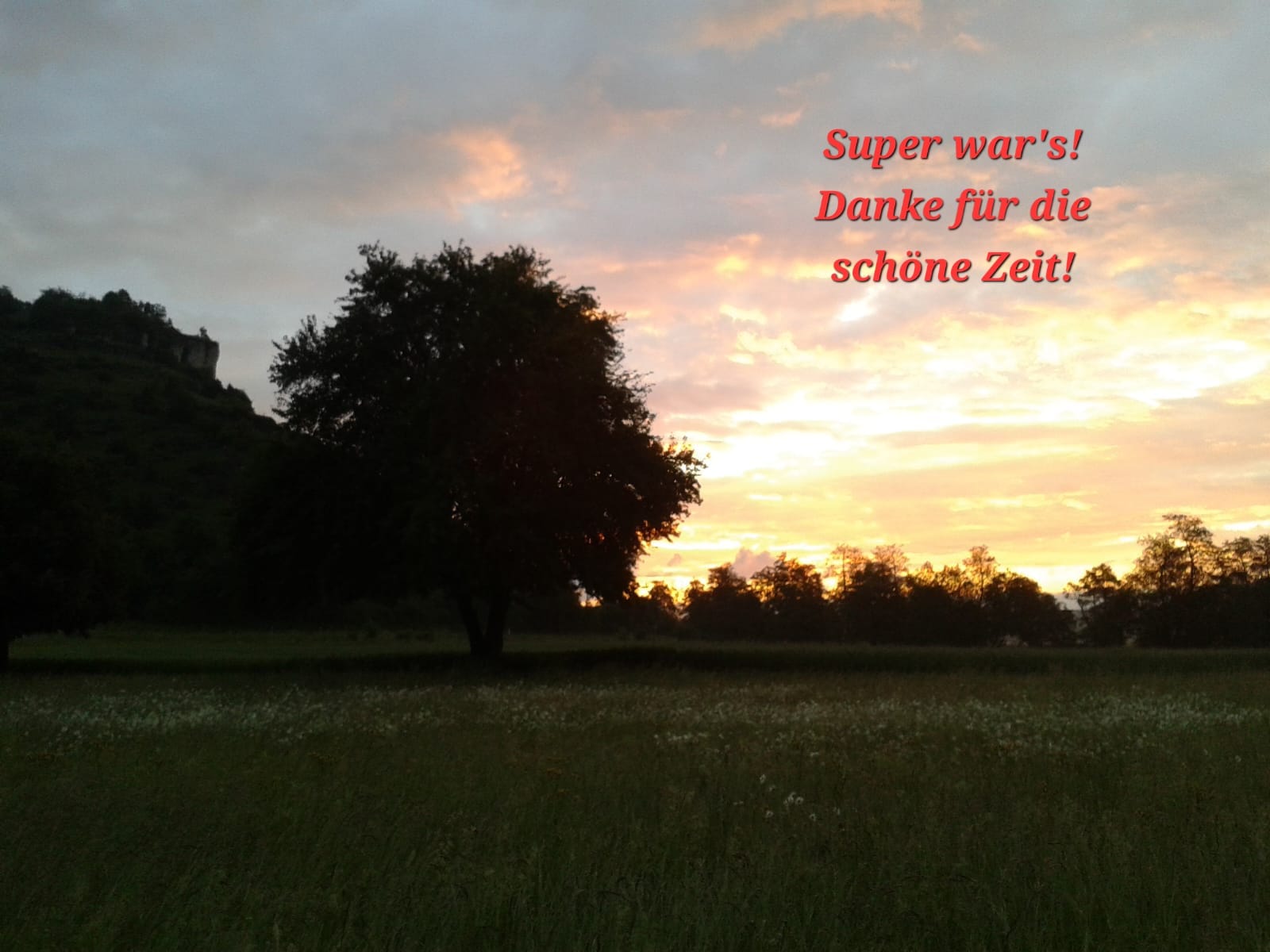 Vergrößerbares Bild