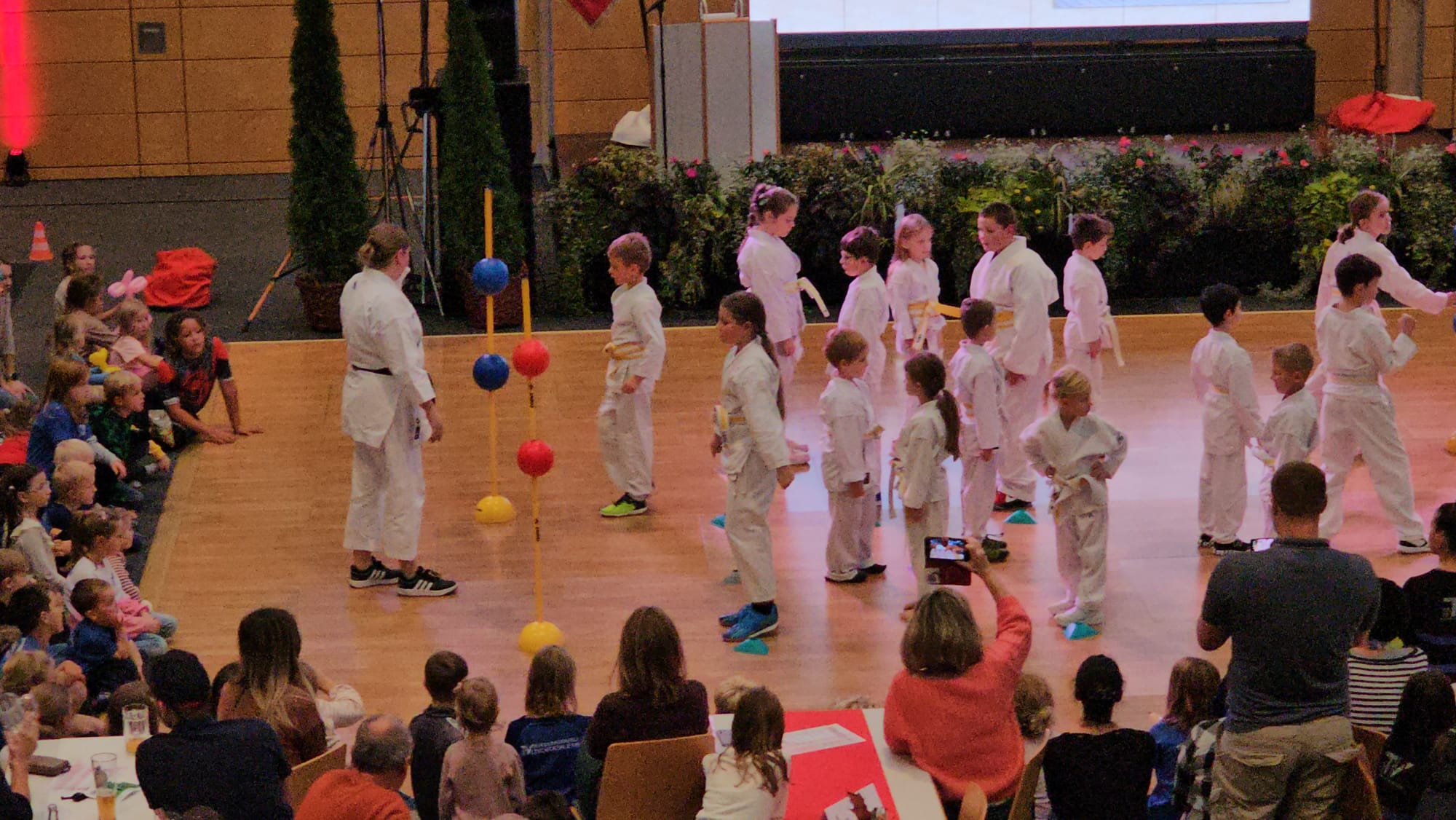 Vergrößerbares Bild