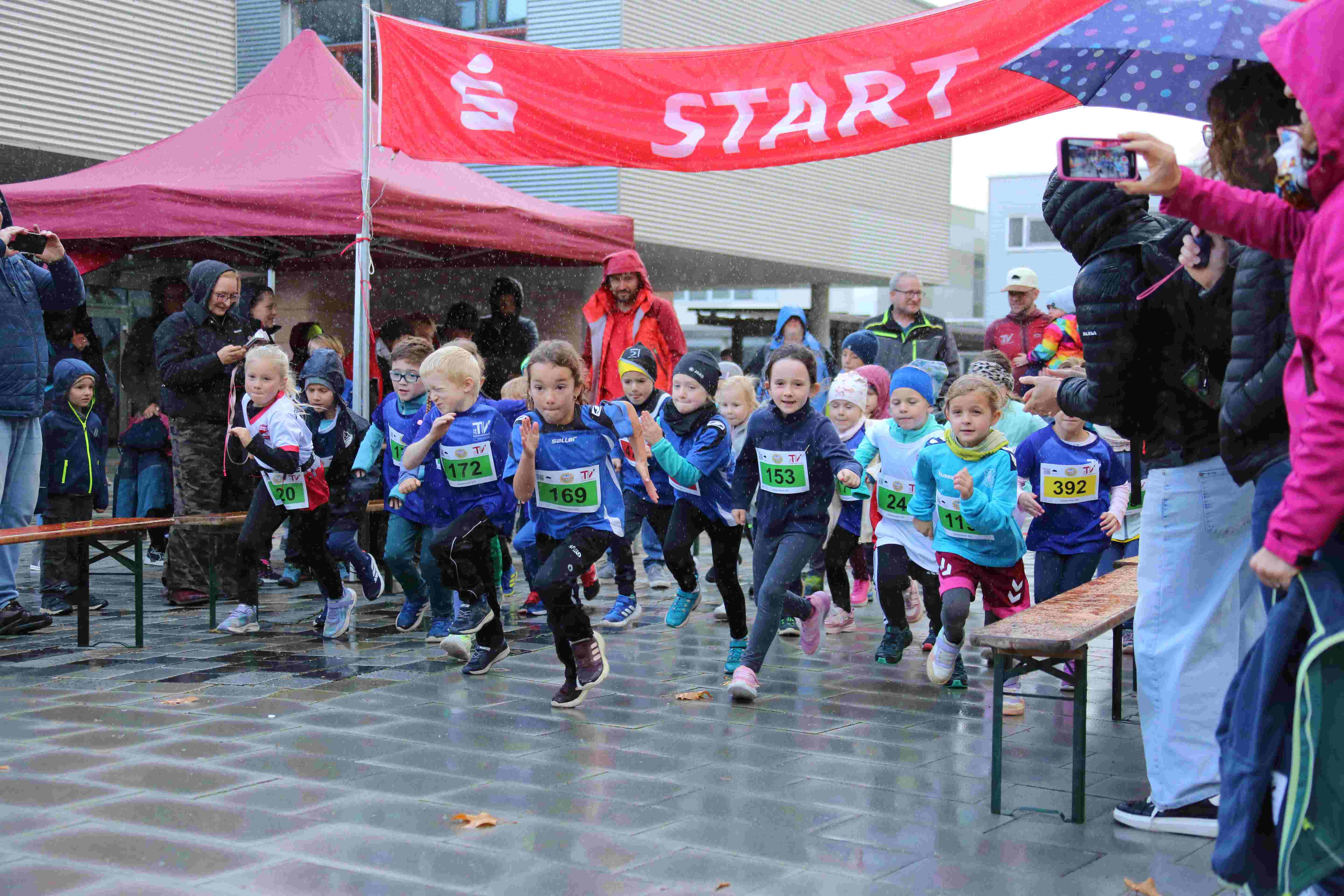 Vergrößerbares Bild