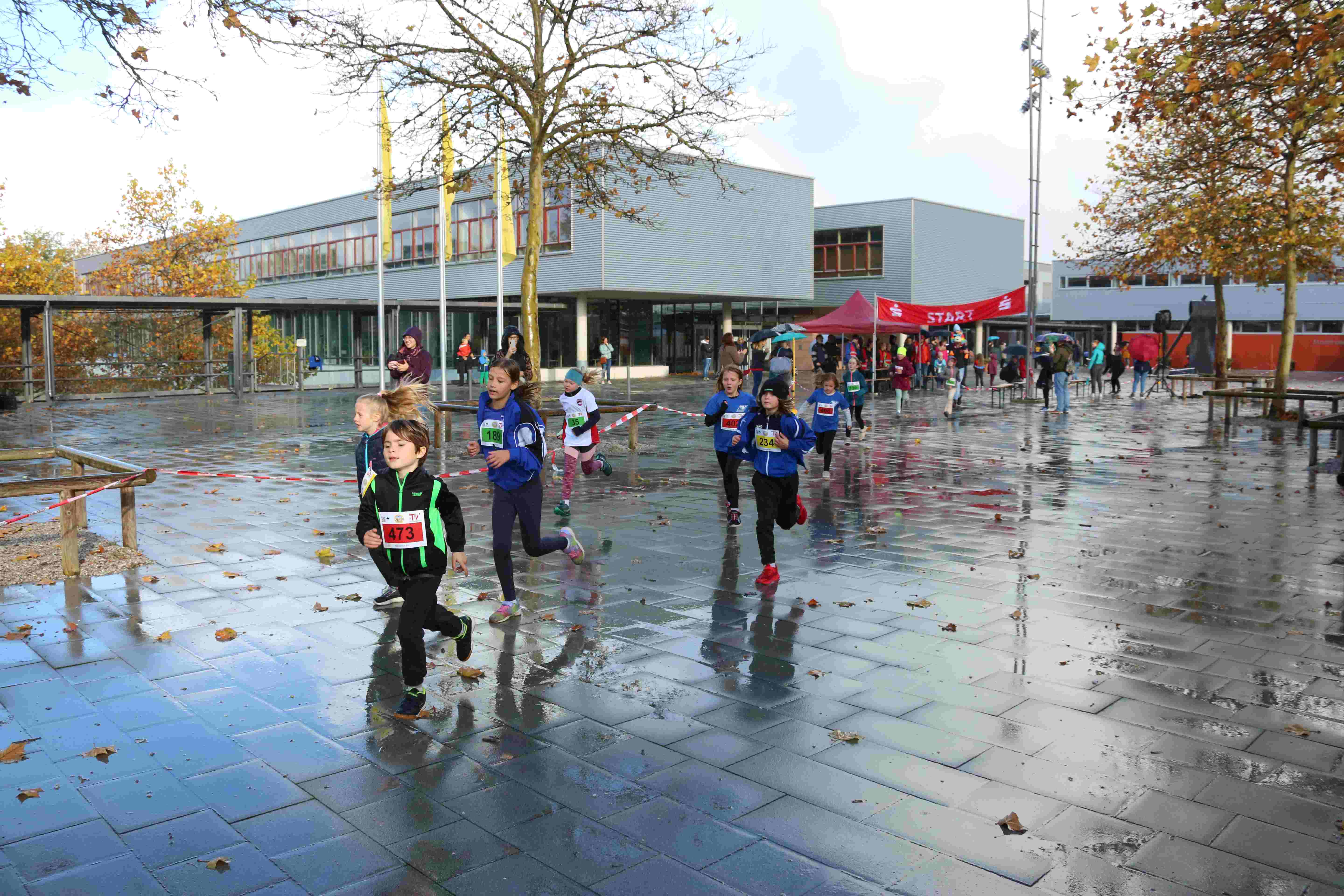 Vergrößerbares Bild