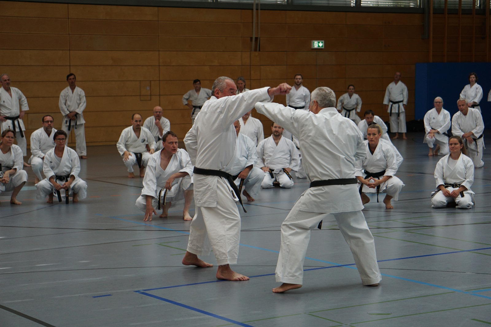 Vergrößerbares Bild