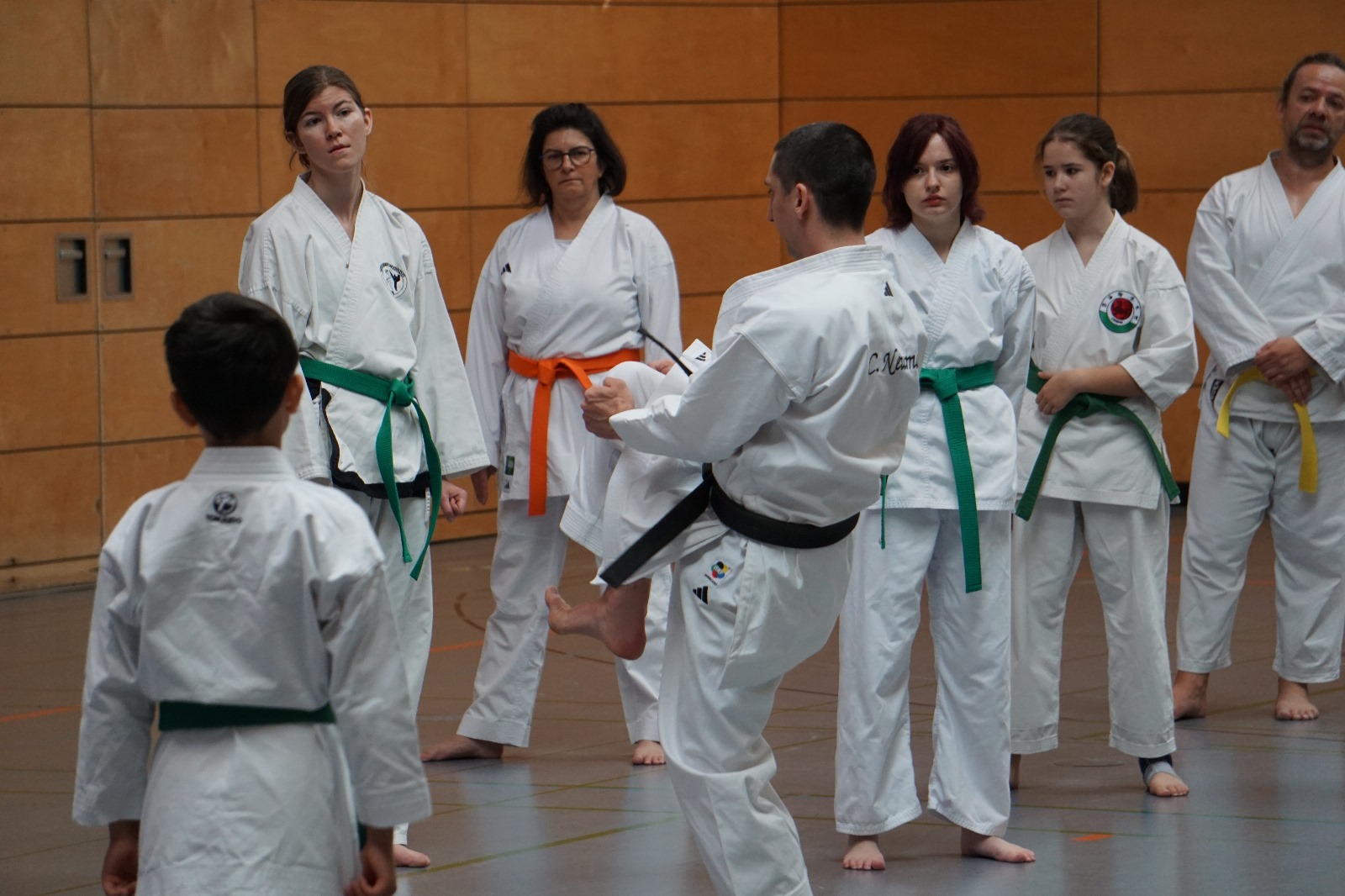 Vergrößerbares Bild