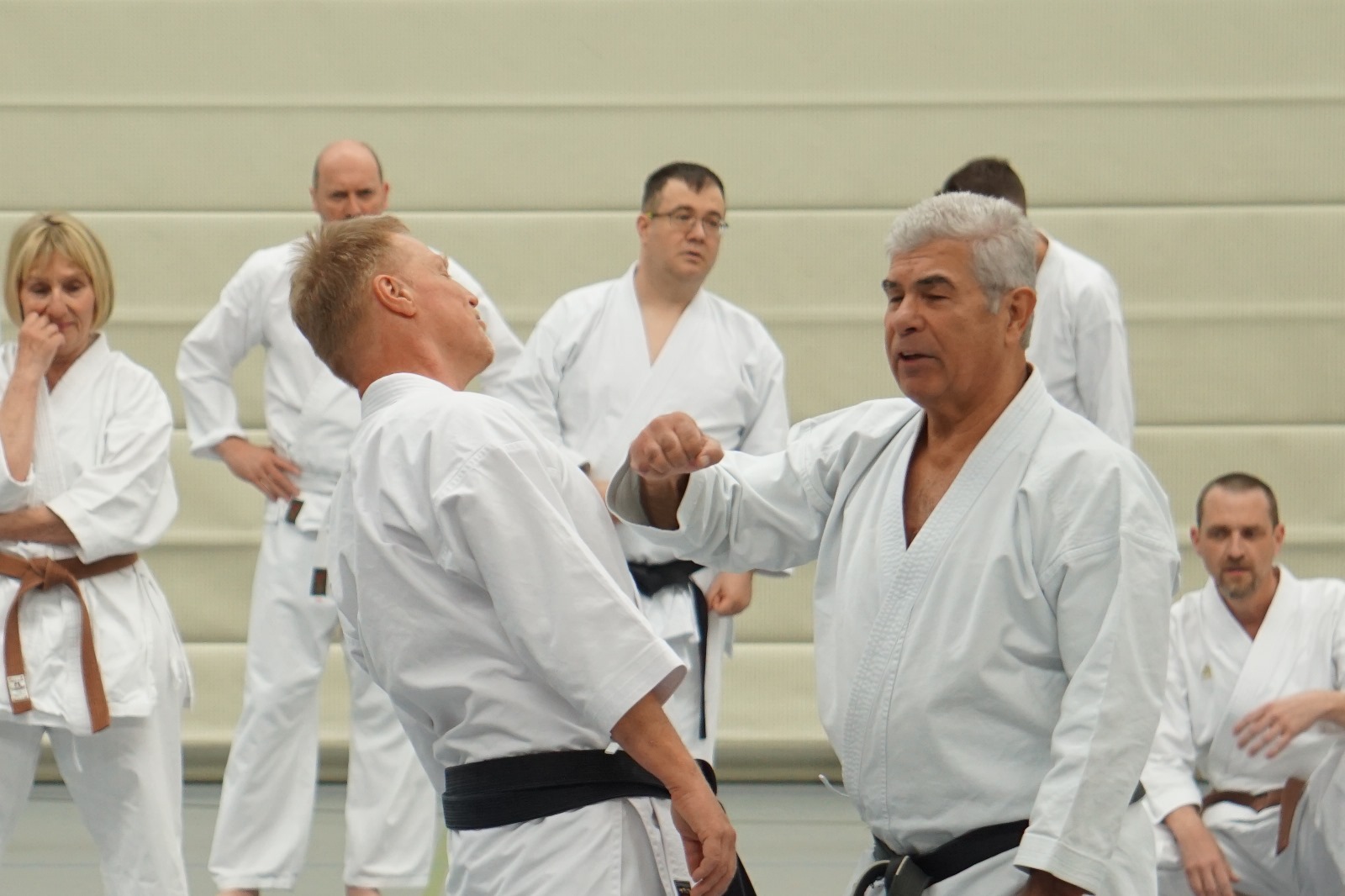 Vergrößerbares Bild