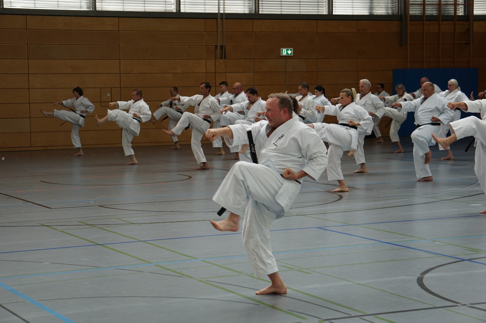 Vergrößerbares Bild