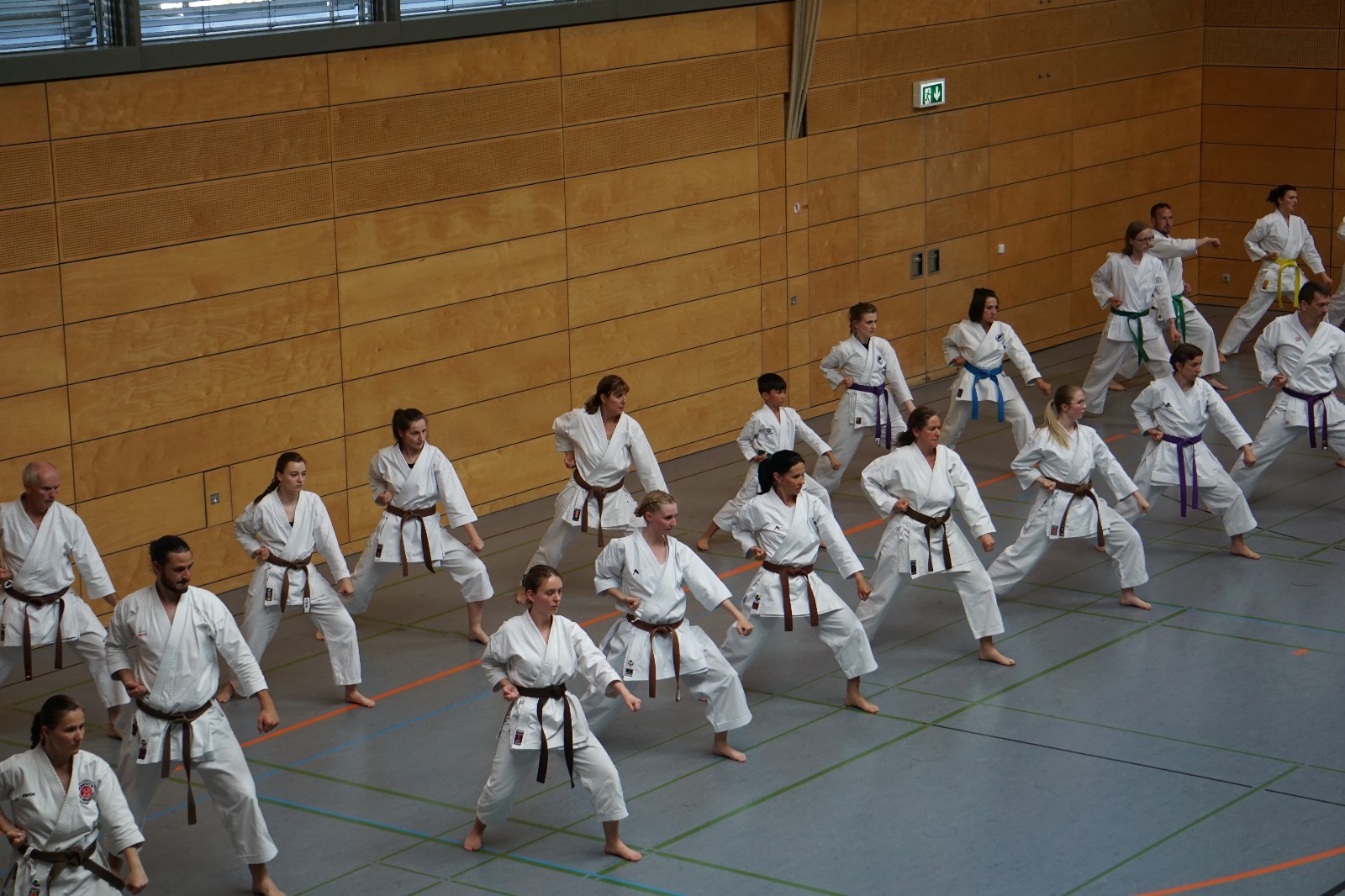 Vergrößerbares Bild