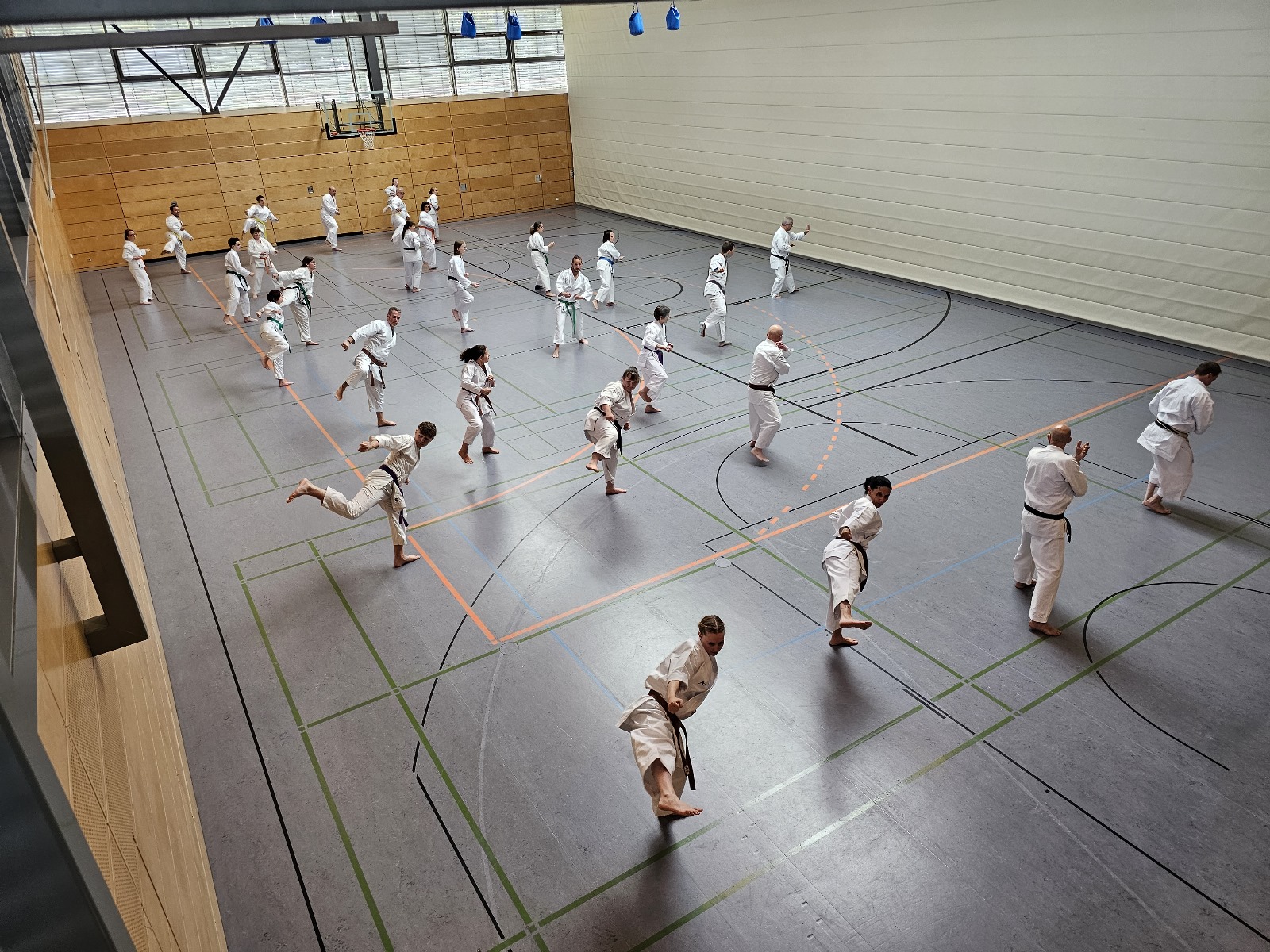 Vergrößerbares Bild