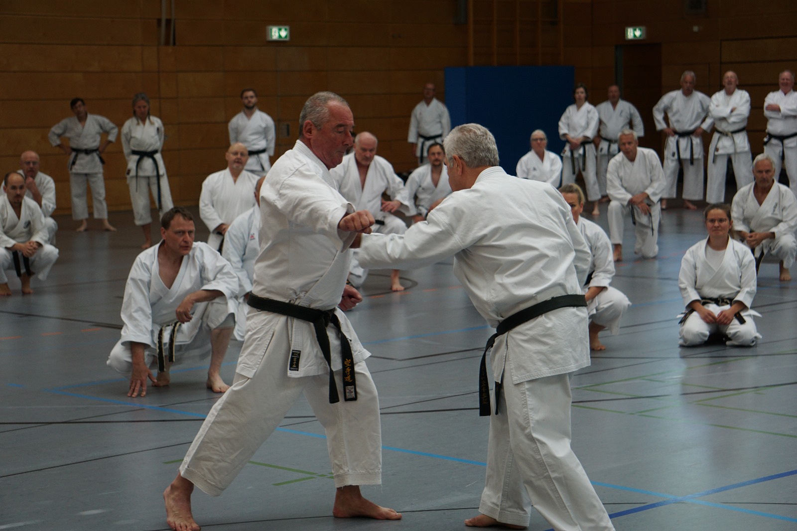 Vergrößerbares Bild