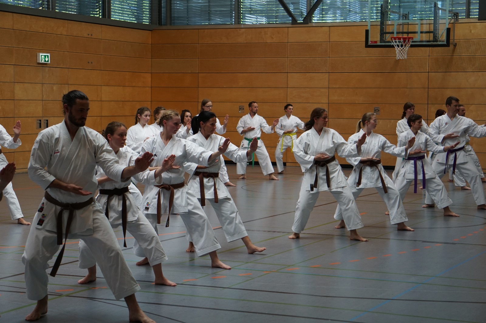 Vergrößerbares Bild