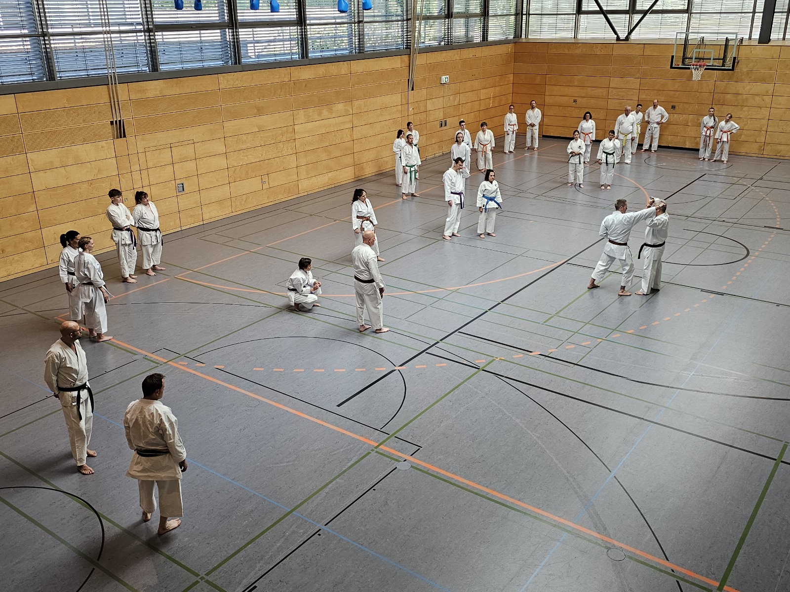 Vergrößerbares Bild