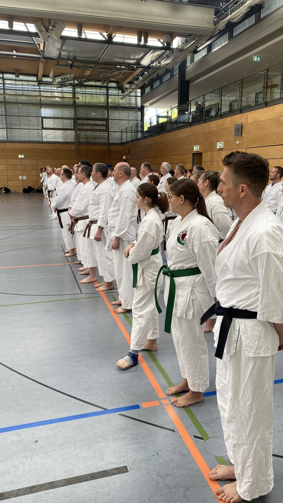 Vergrößerbares Bild