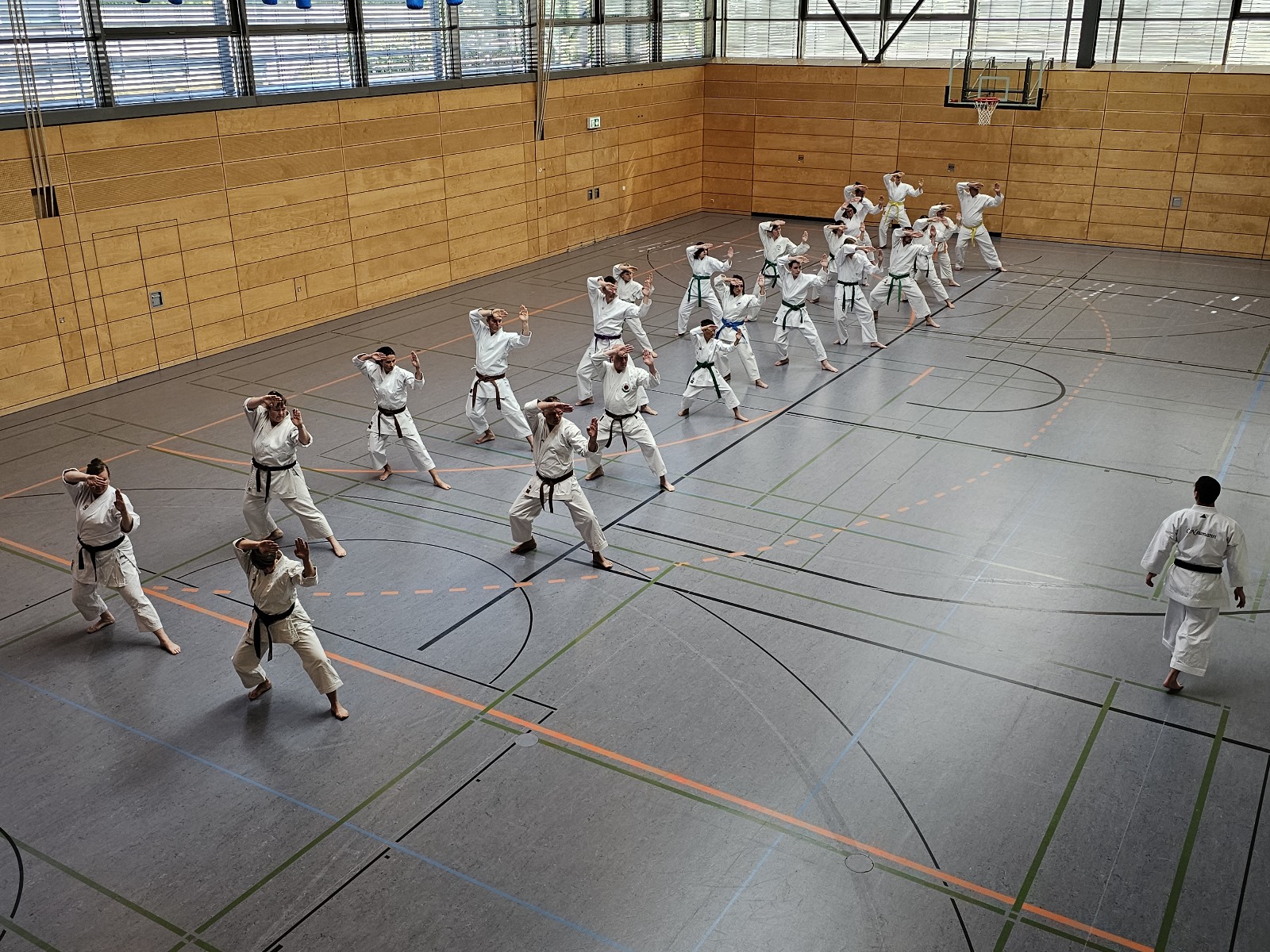 Vergrößerbares Bild