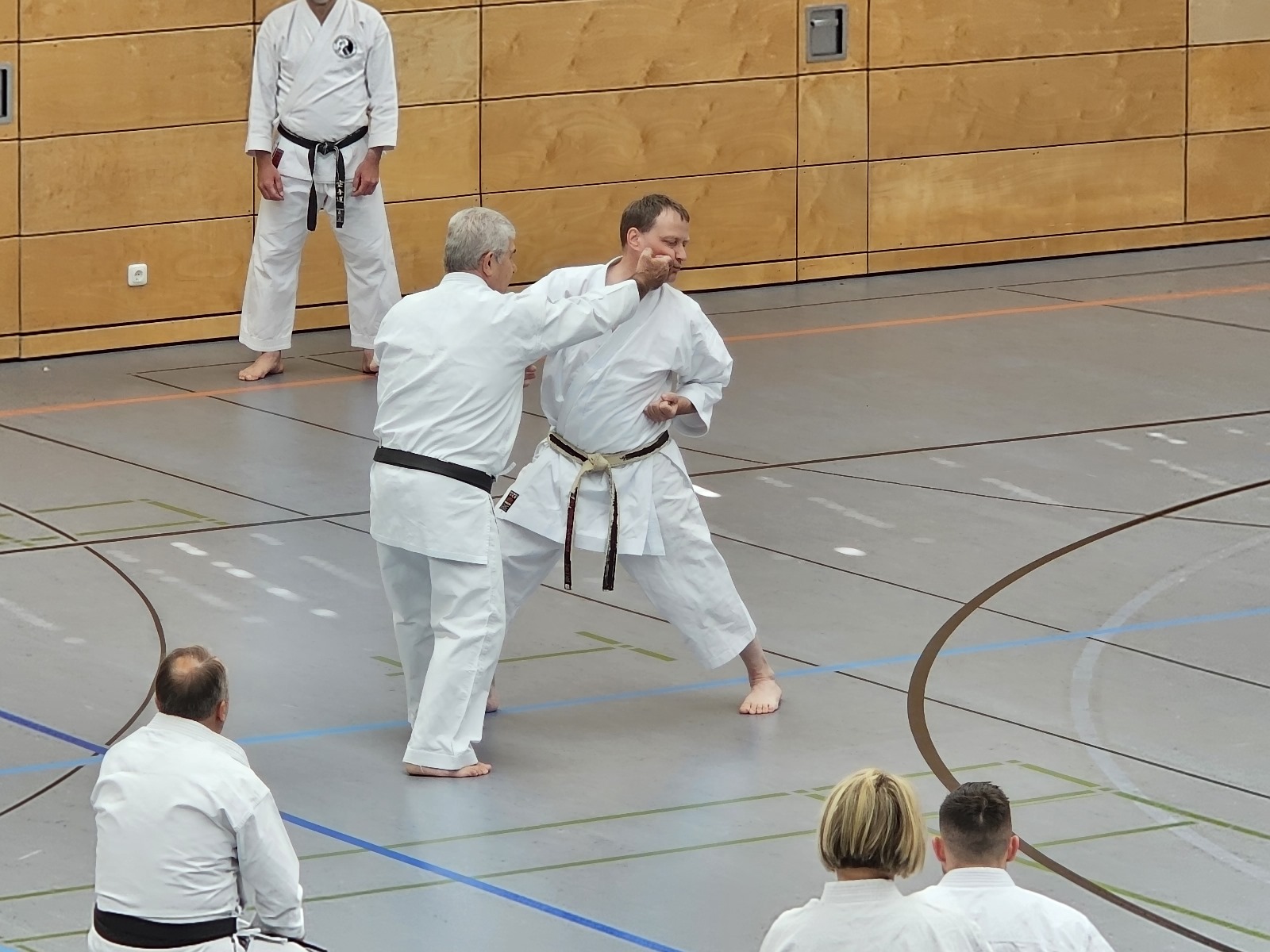 Vergrößerbares Bild