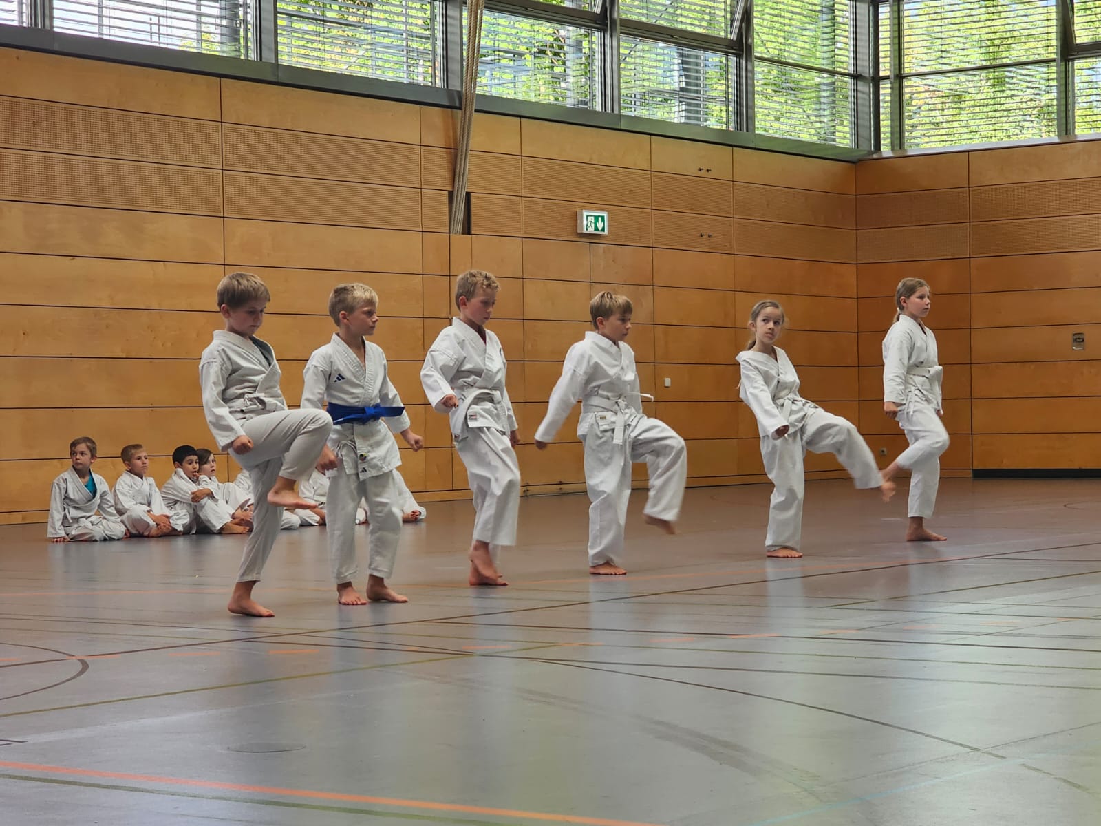 Vergrößerbares Bild