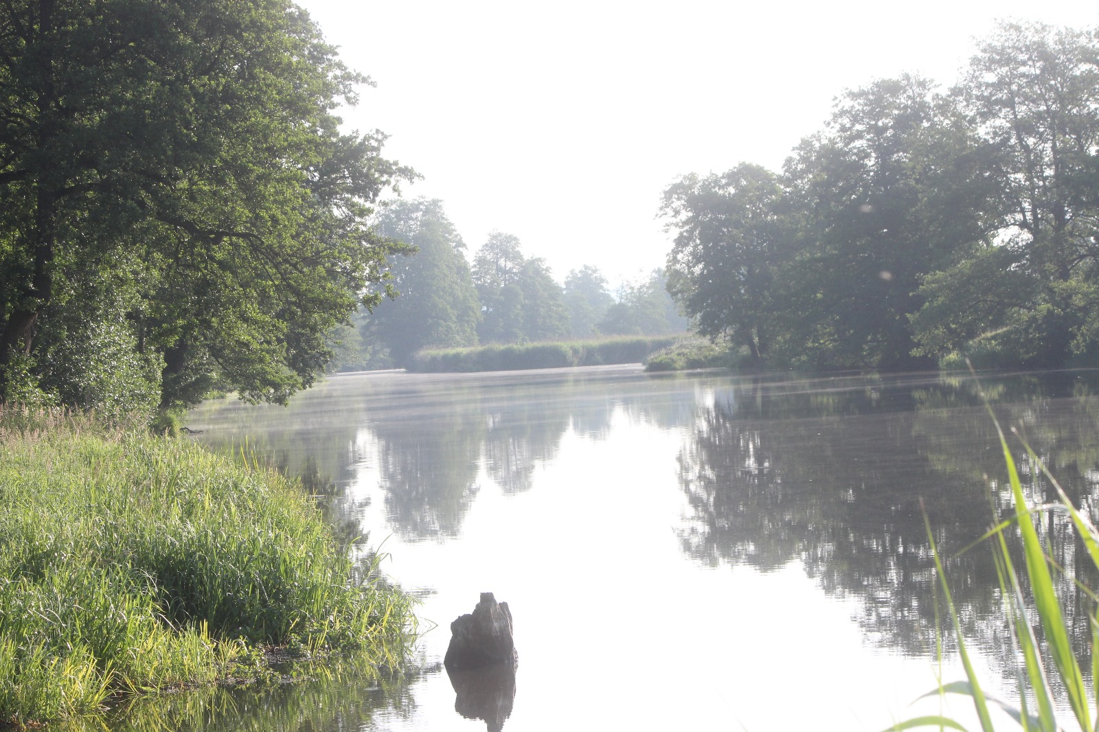 Vergrößerbares Bild